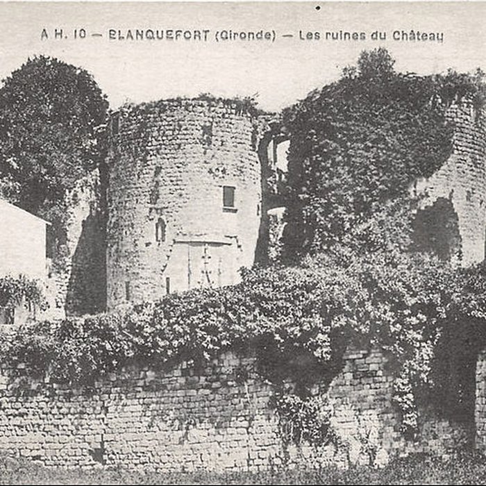 Photo de Château de Blanquefort
