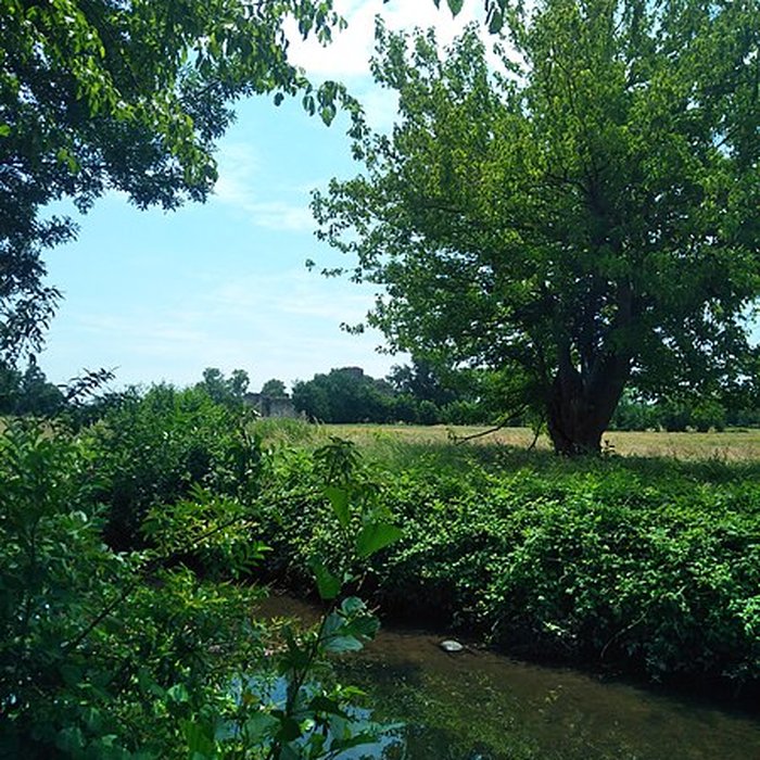 Photo de Château de Blanquefort