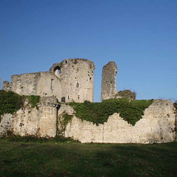 Photo de Château de Blanquefort