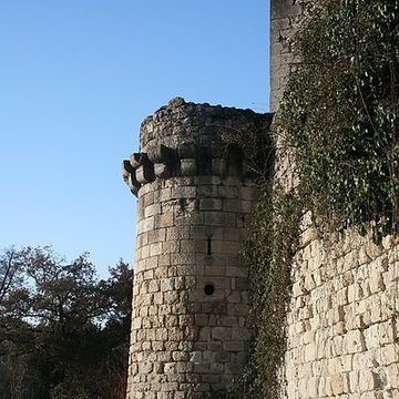 Château de Blanquefort