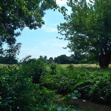 Château de Blanquefort