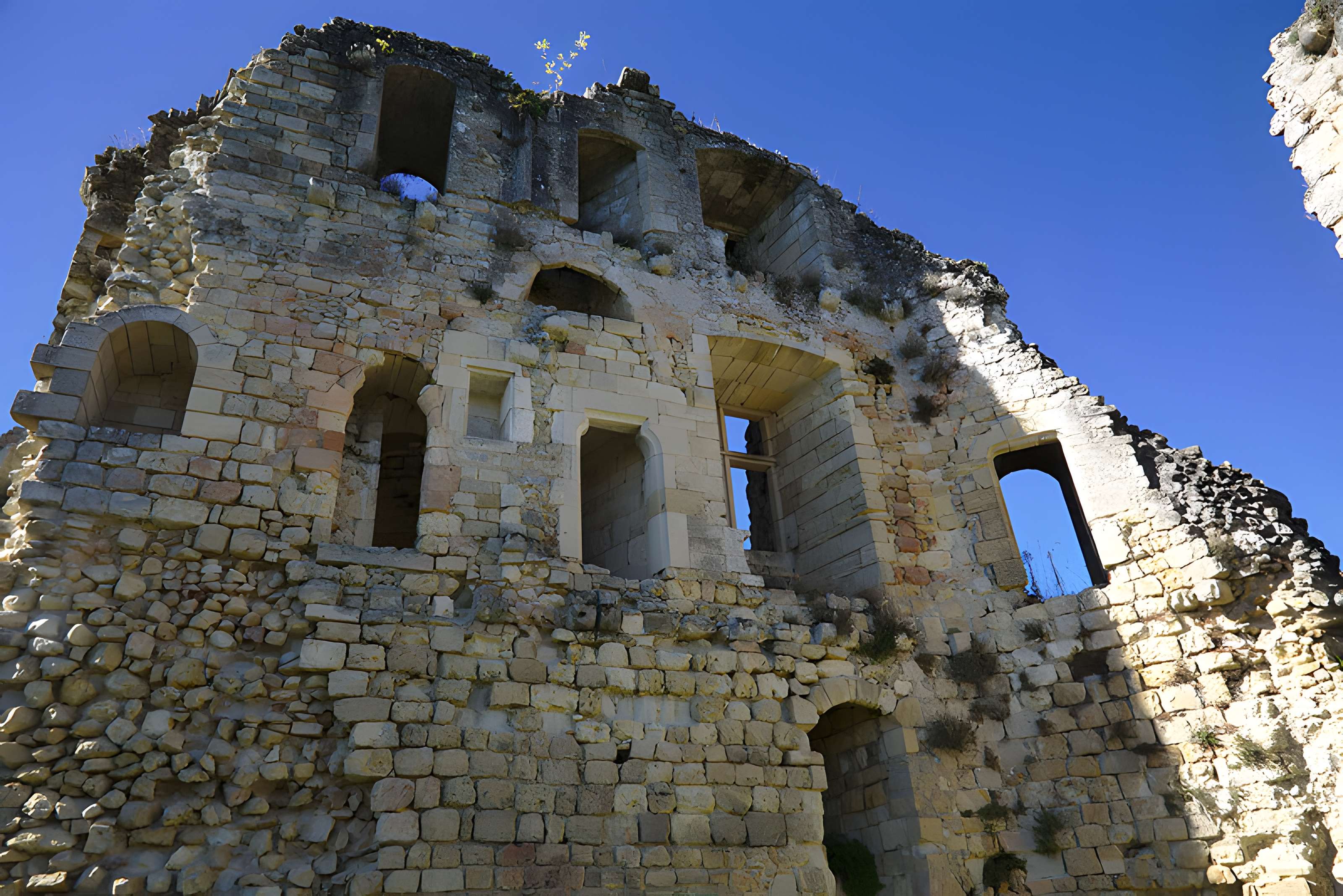 Château de Blanquefort