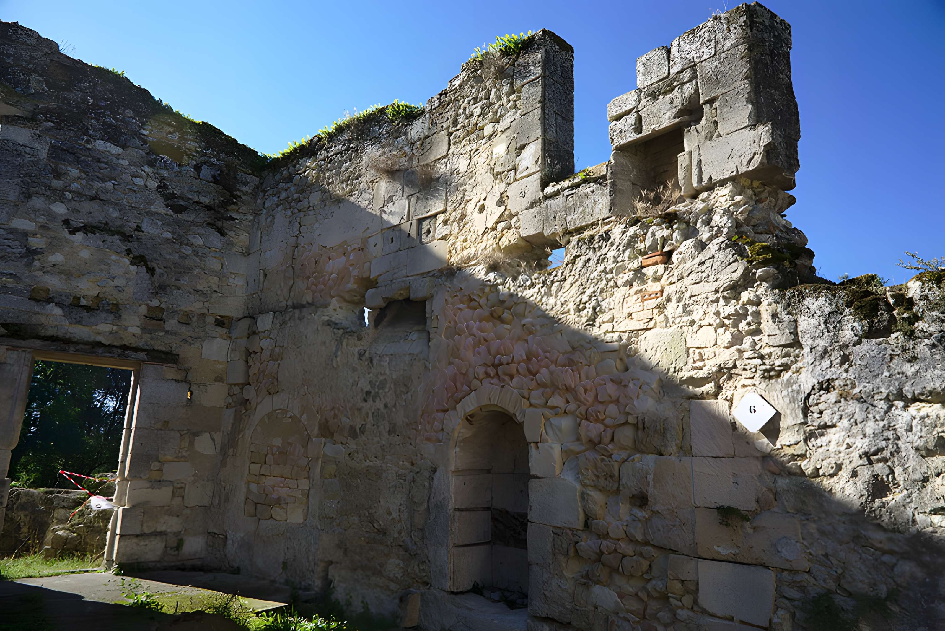 Château de Blanquefort