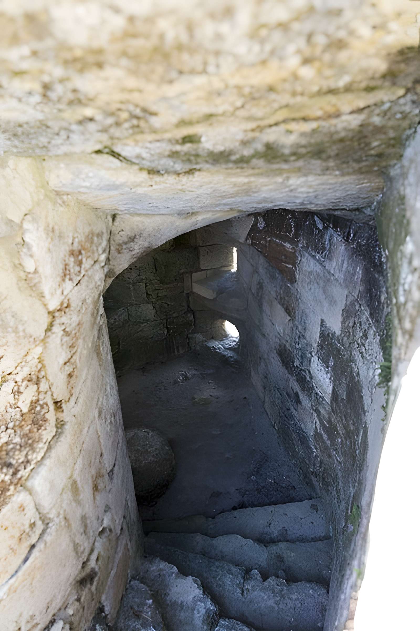 Château de Blanquefort