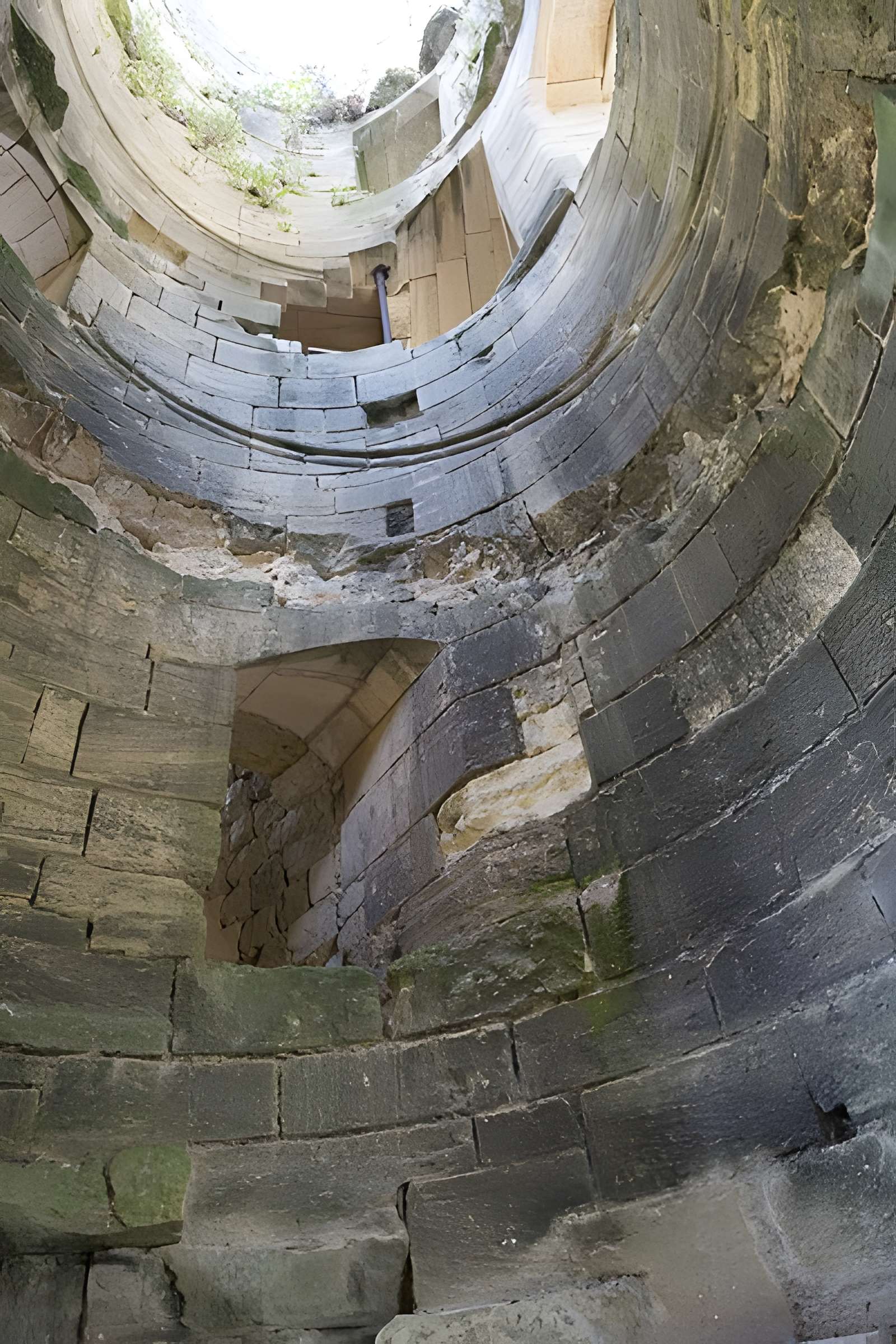 Château de Blanquefort