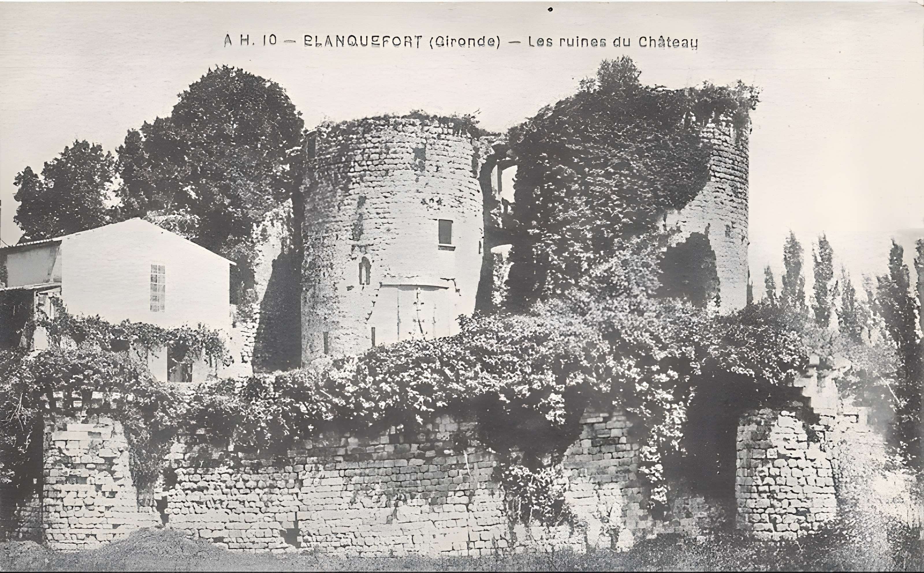 Château de Blanquefort
