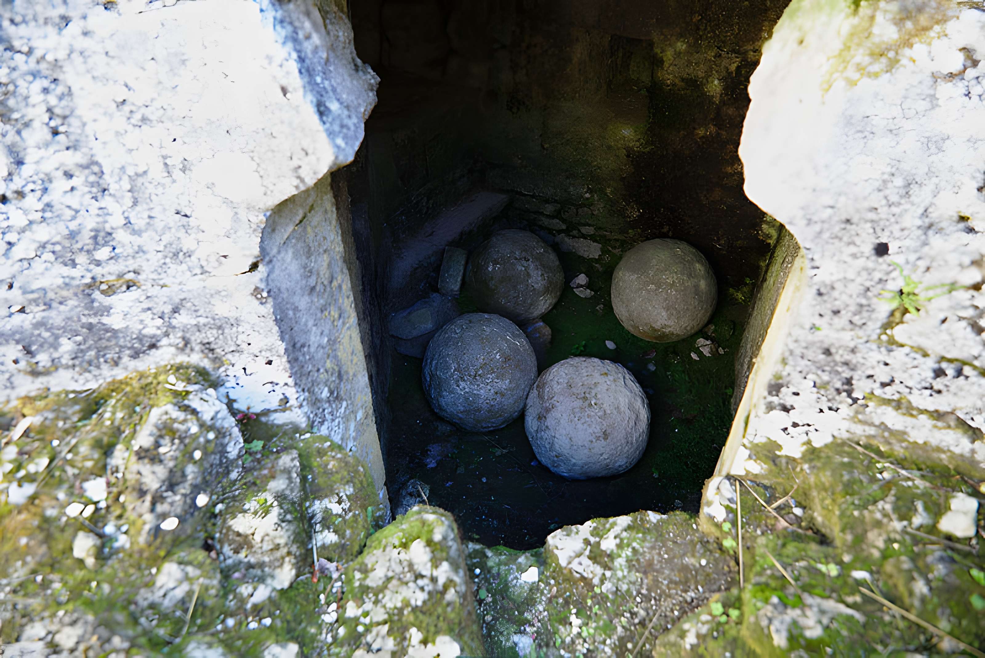Château de Blanquefort
