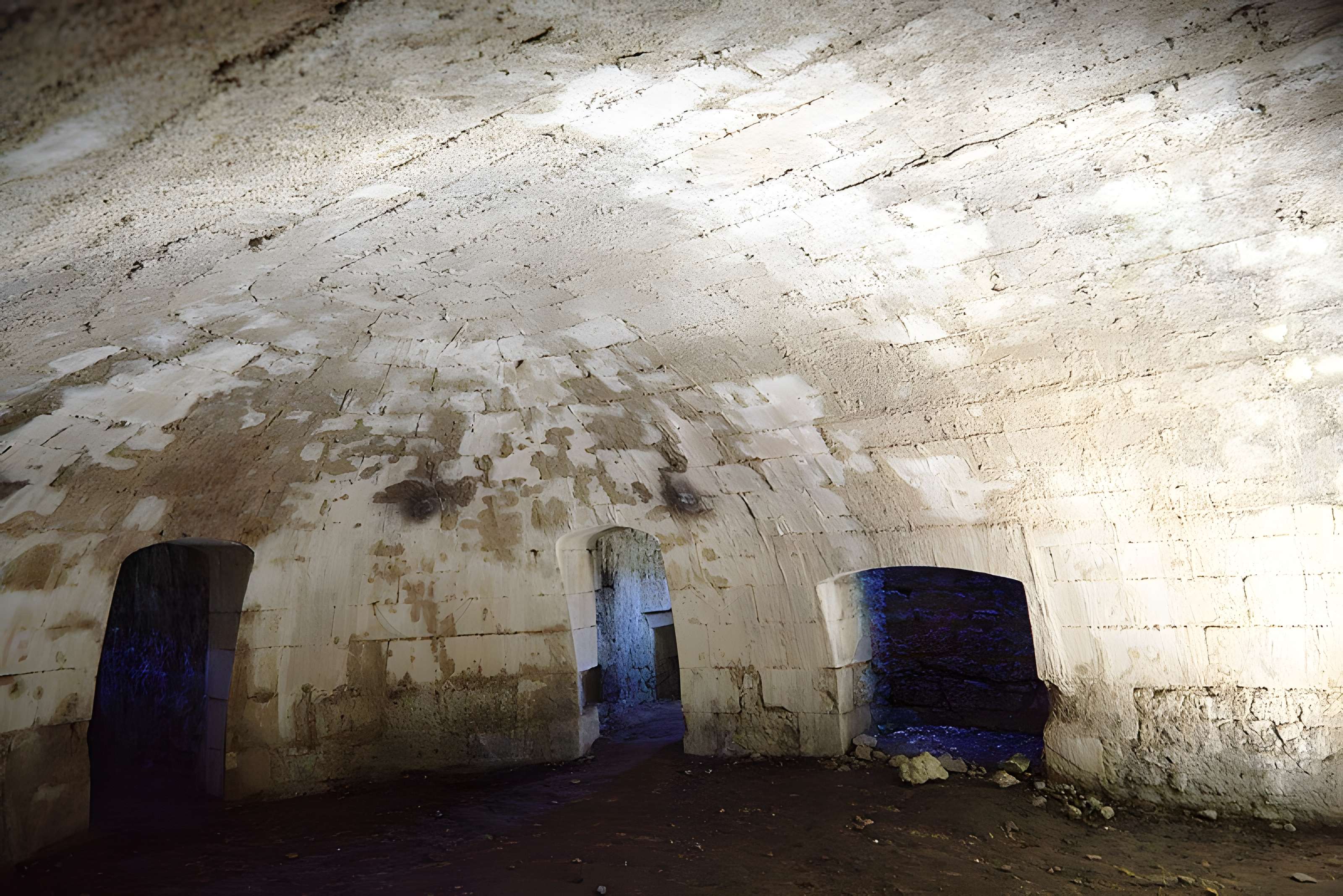 Château de Blanquefort
