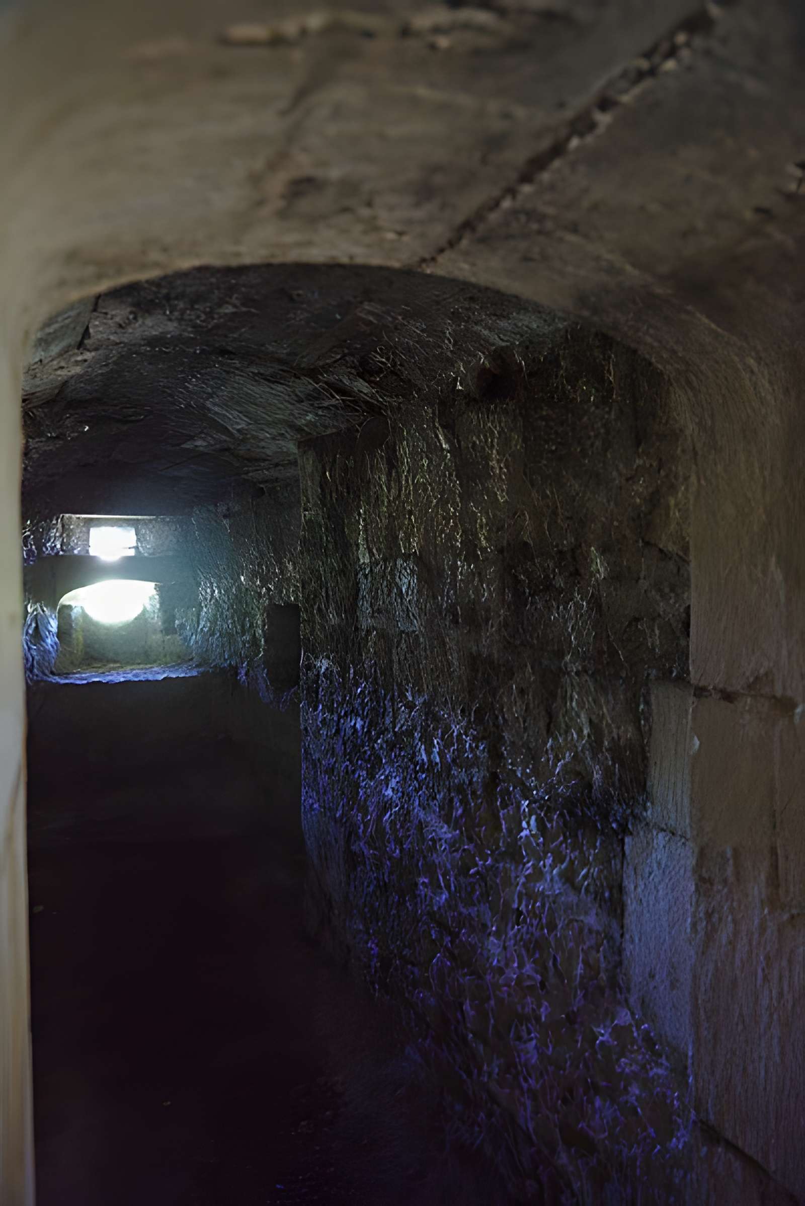 Château de Blanquefort