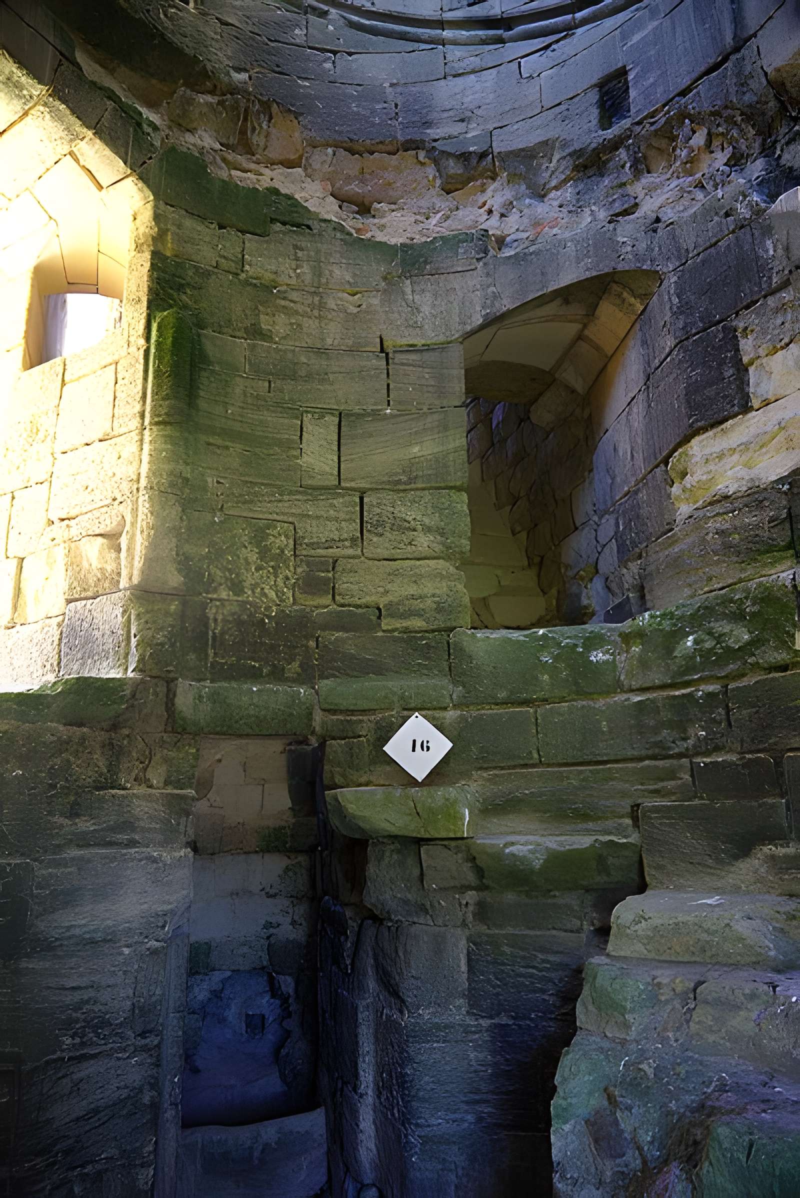 Château de Blanquefort