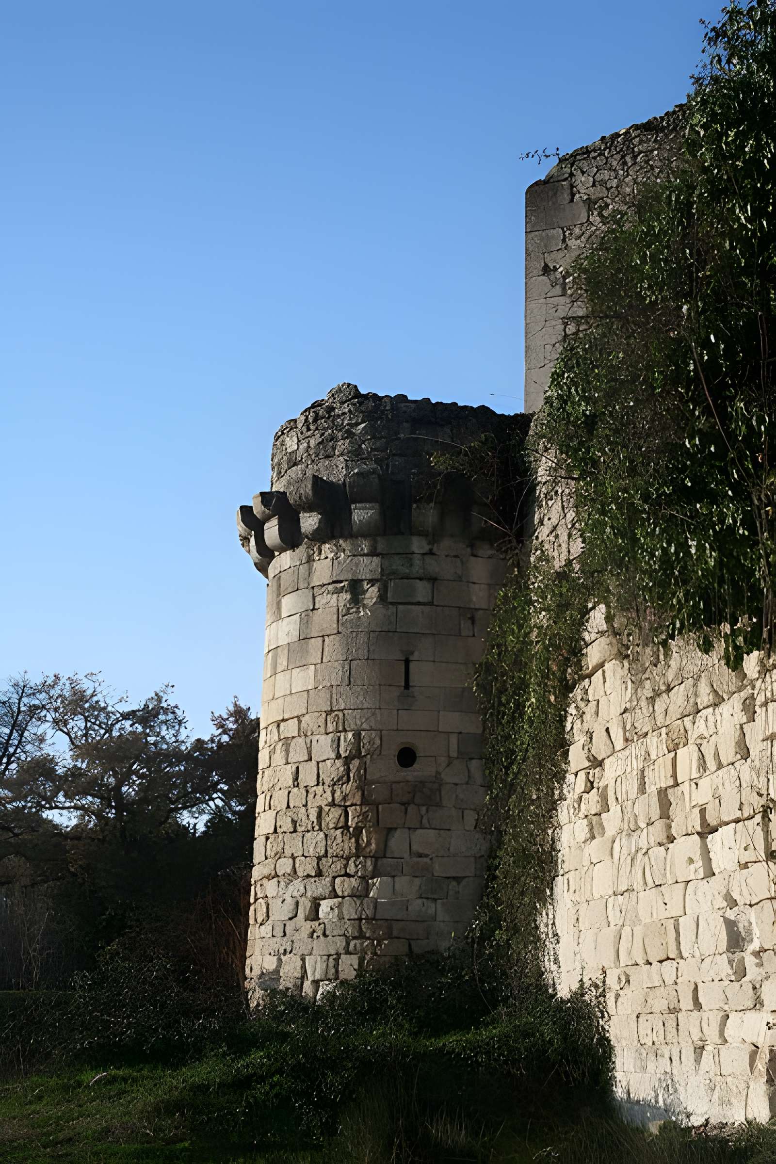 Château de Blanquefort