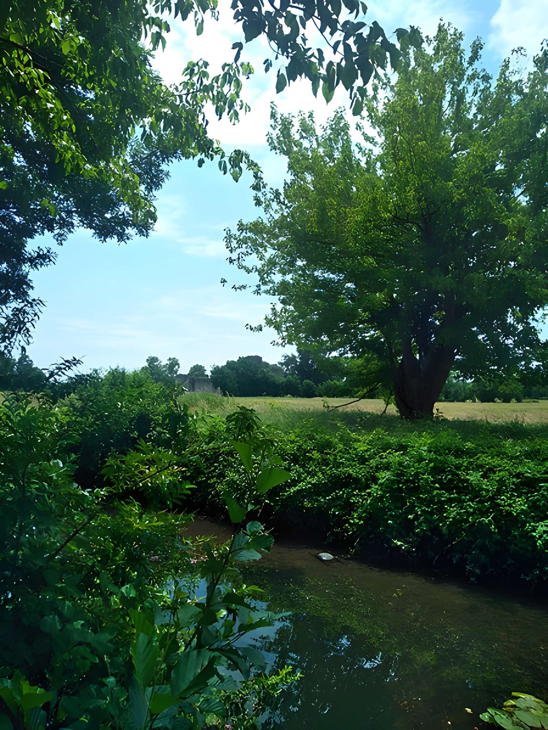 Château de Blanquefort