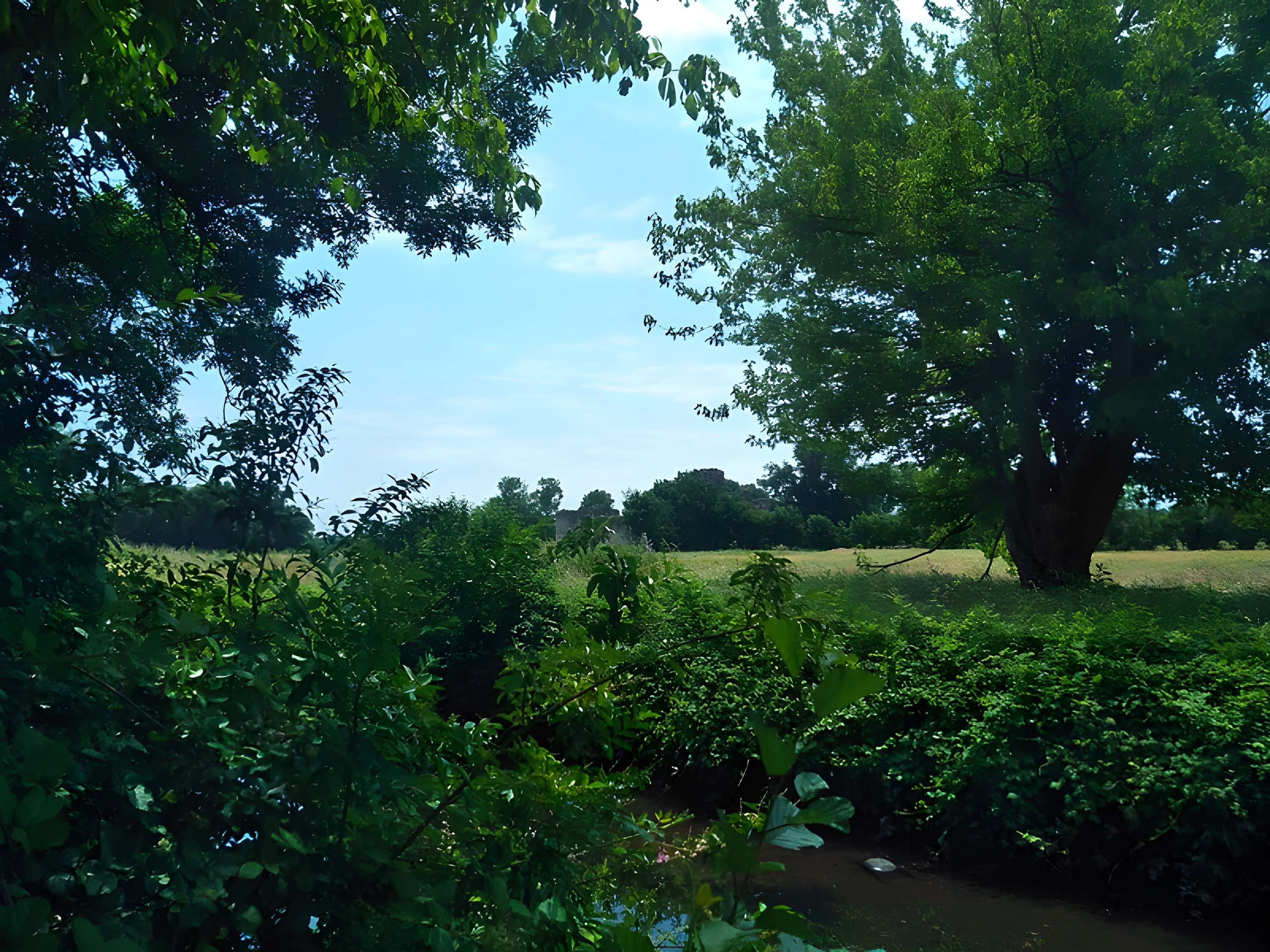 Château de Blanquefort