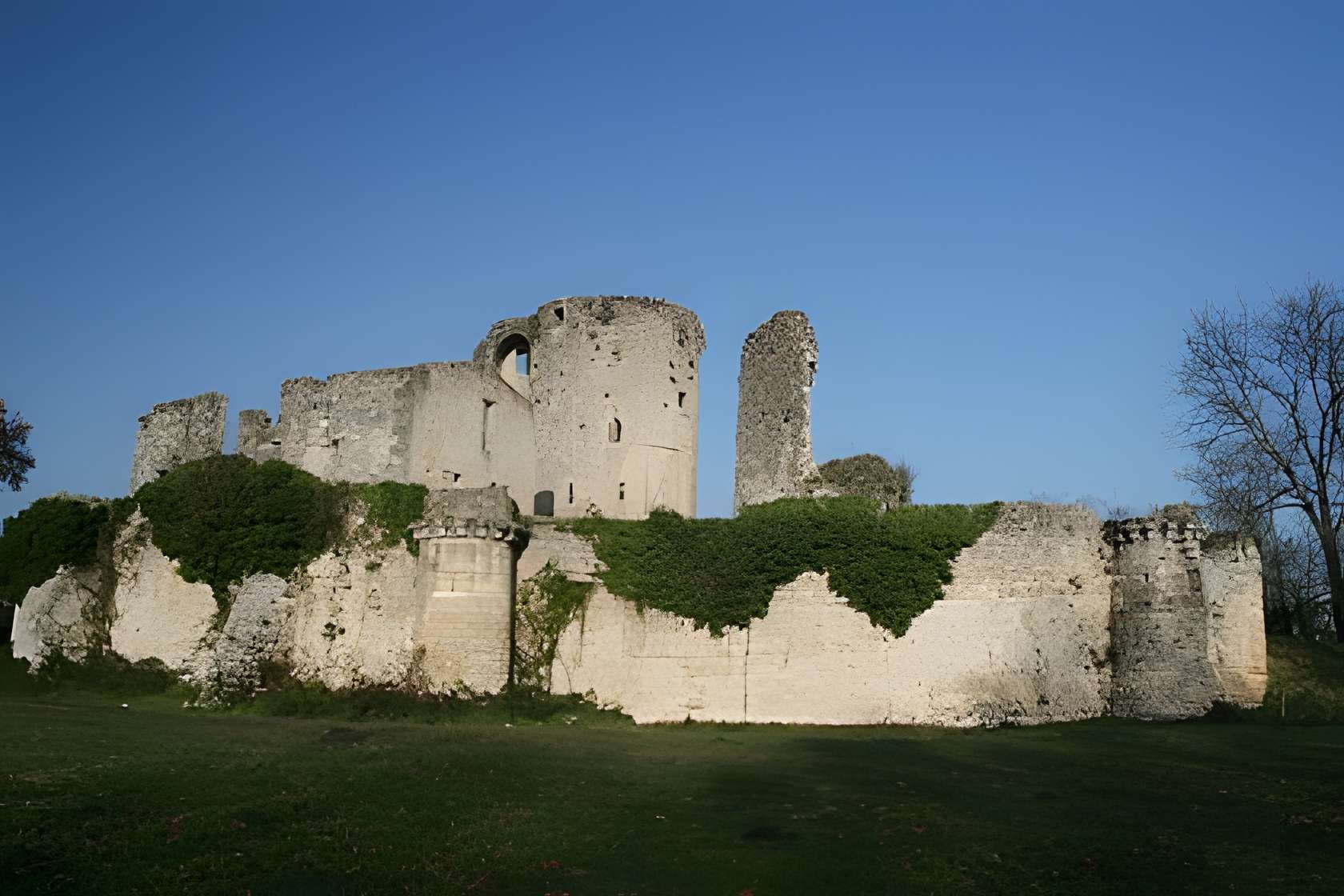Château de Blanquefort 