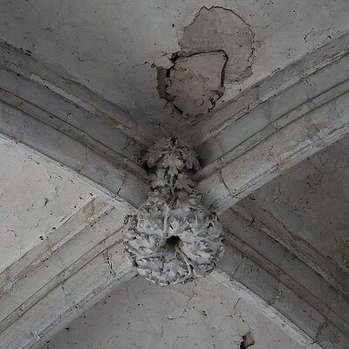 Photo de Église Saint-Pierre de Varzy