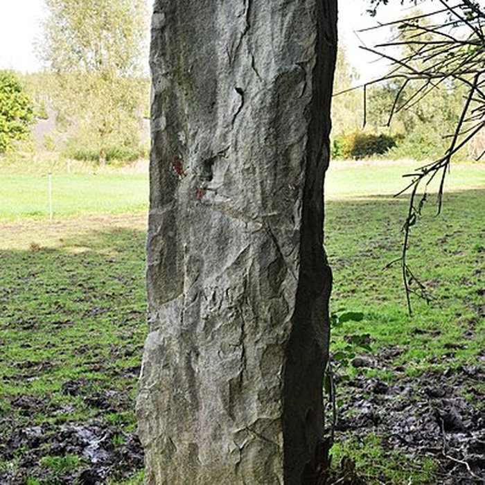 Photo de Borne au Queviron, sise au Marais-des-Six-Villes