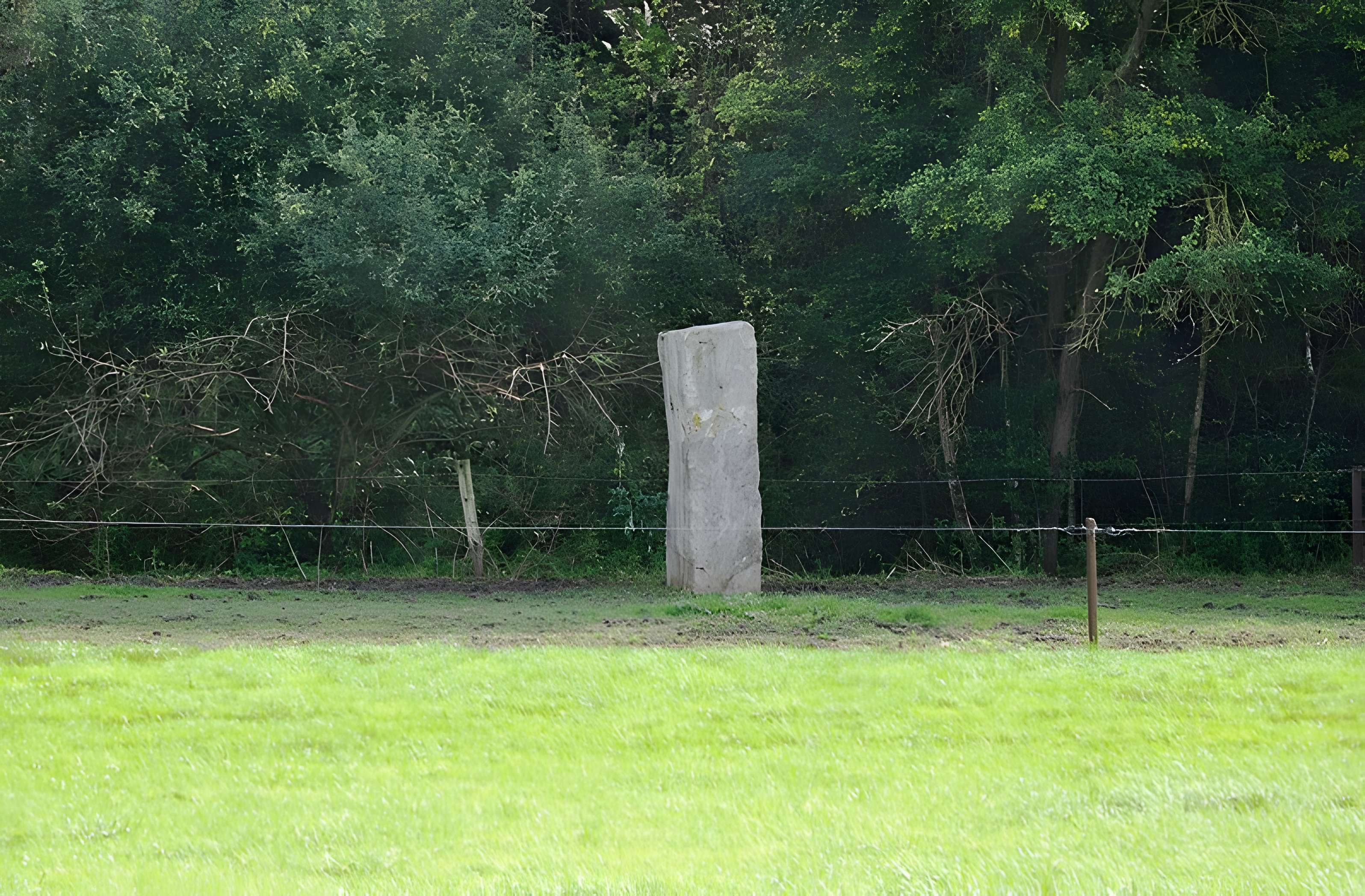 Borne au Queviron, sise au Marais-des-Six-Villes