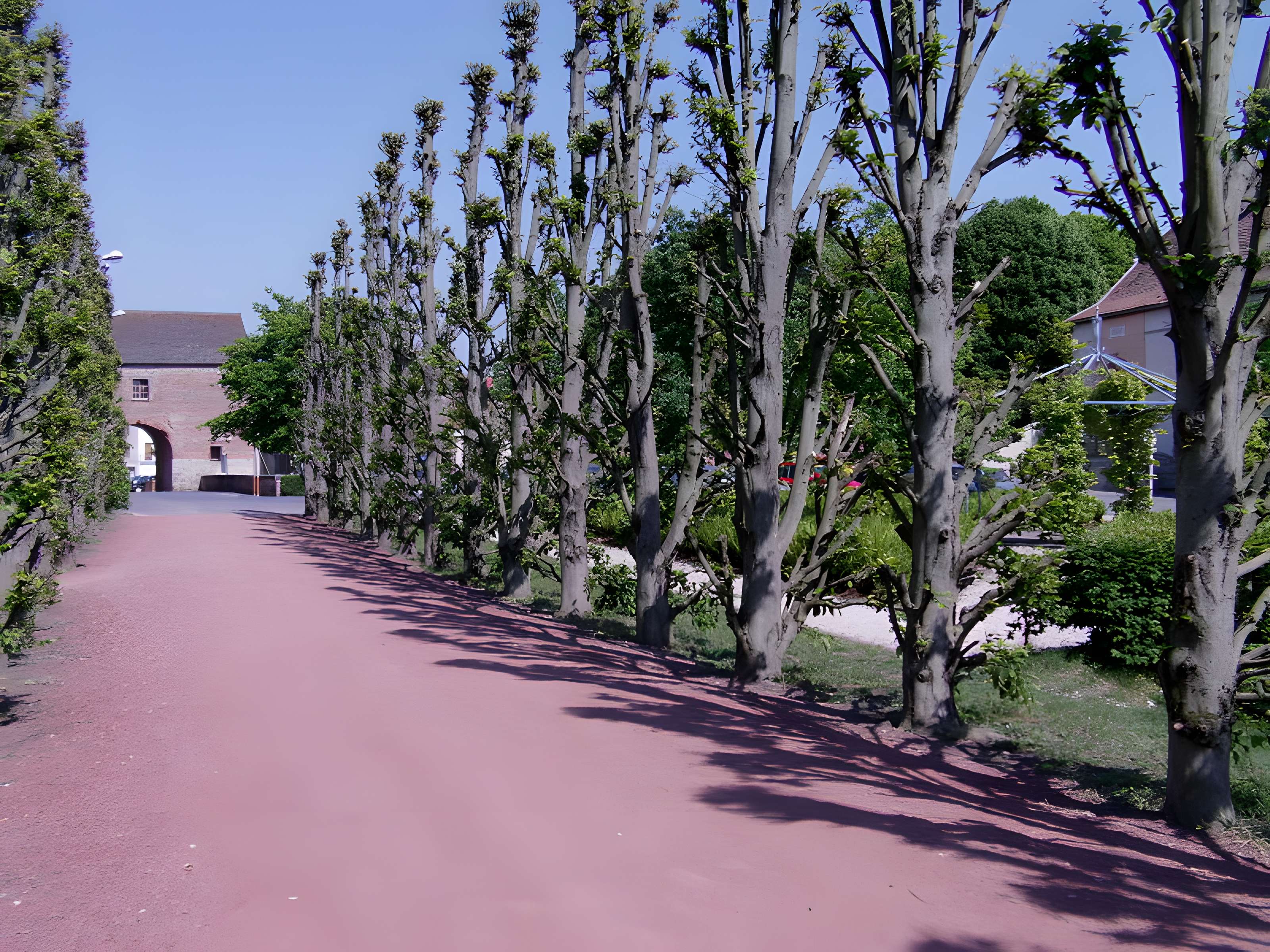 Ancien château comtal