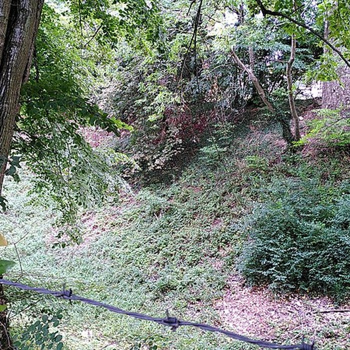 Photo de Château de Bois Sir Âme