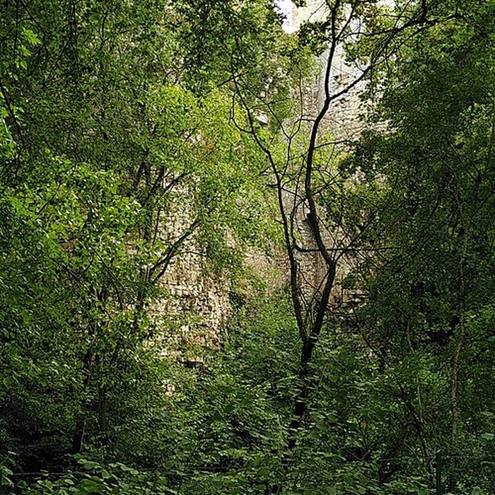 Photo de Château de Bois Sir Âme