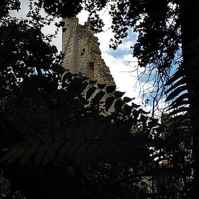 Photo de Château de Bois Sir Âme