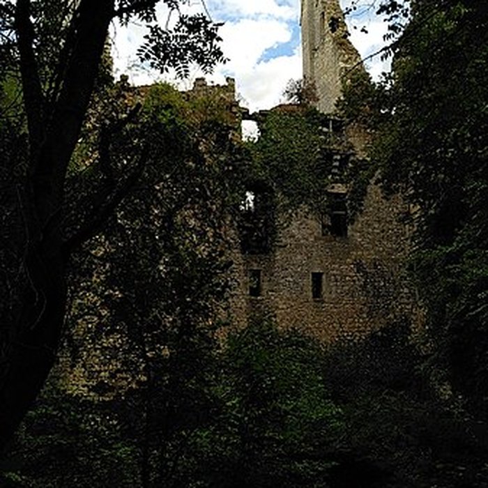 Photo de Château de Bois Sir Âme