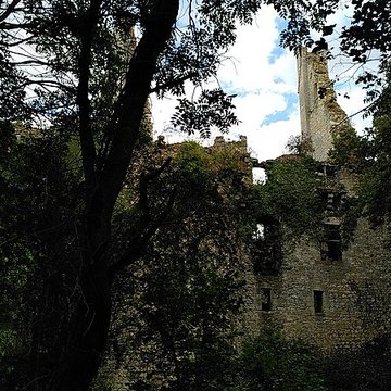 Château de Bois Sir Âme