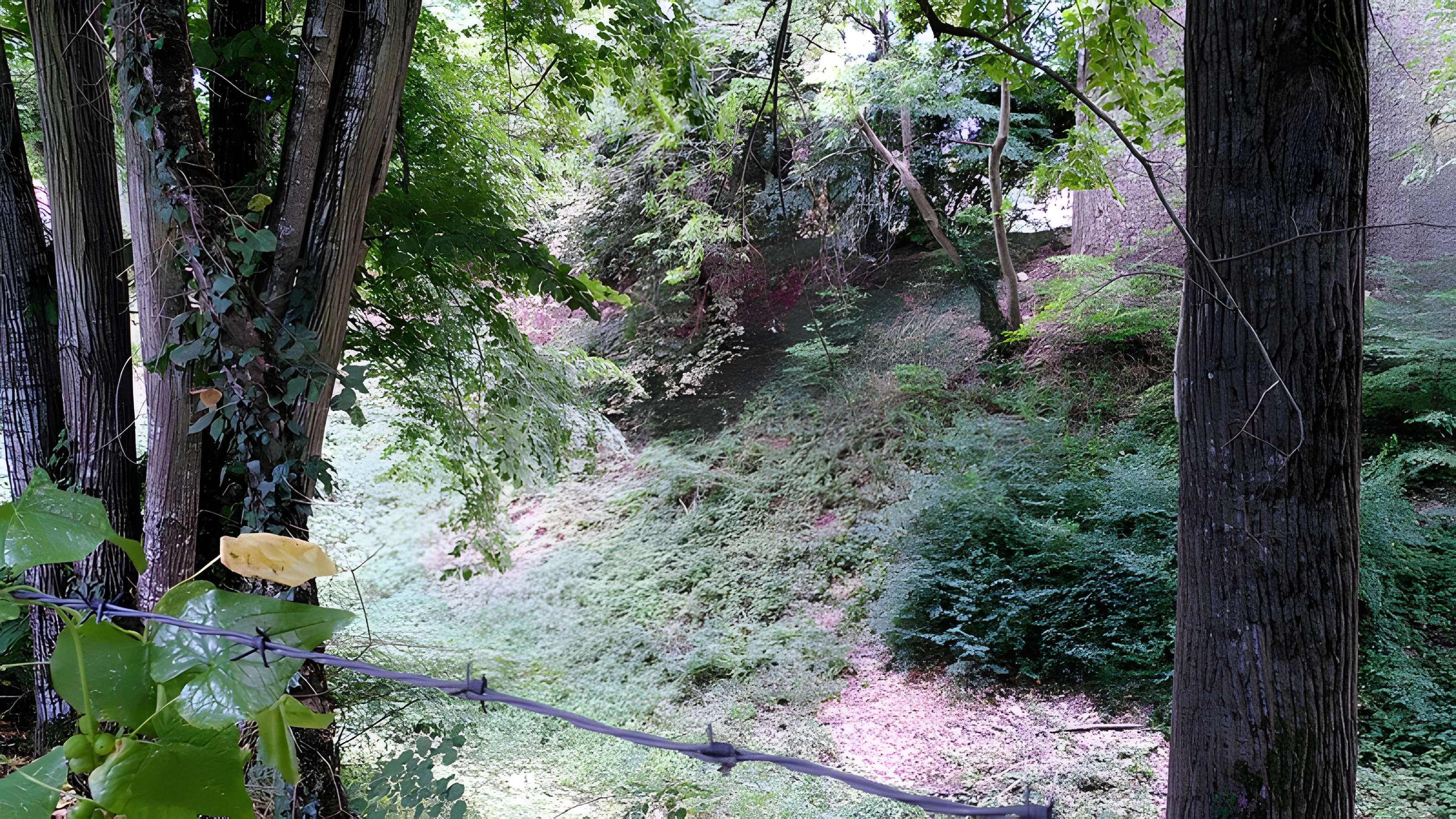 Château de Bois Sir Âme