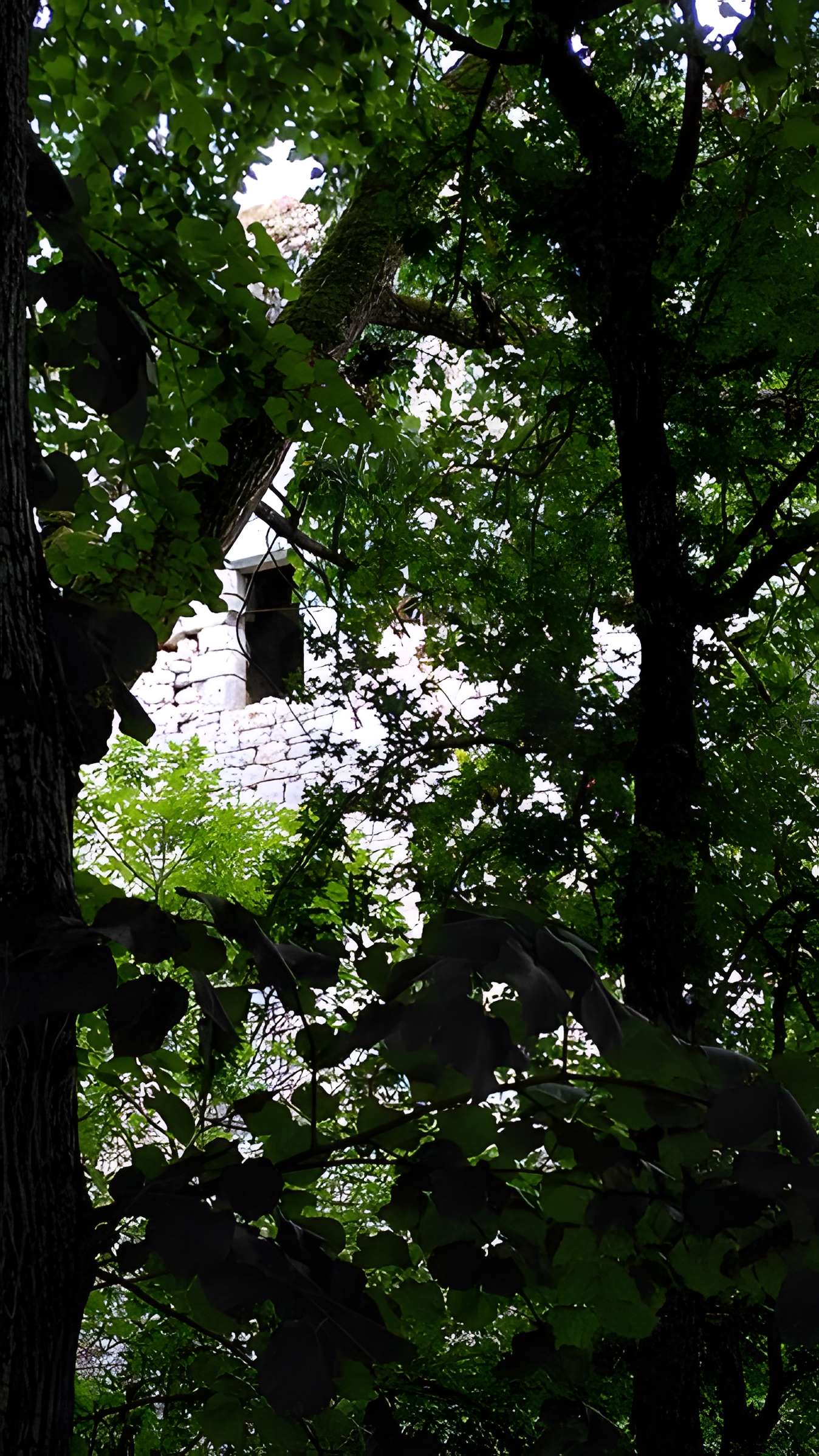 Château de Bois Sir Âme