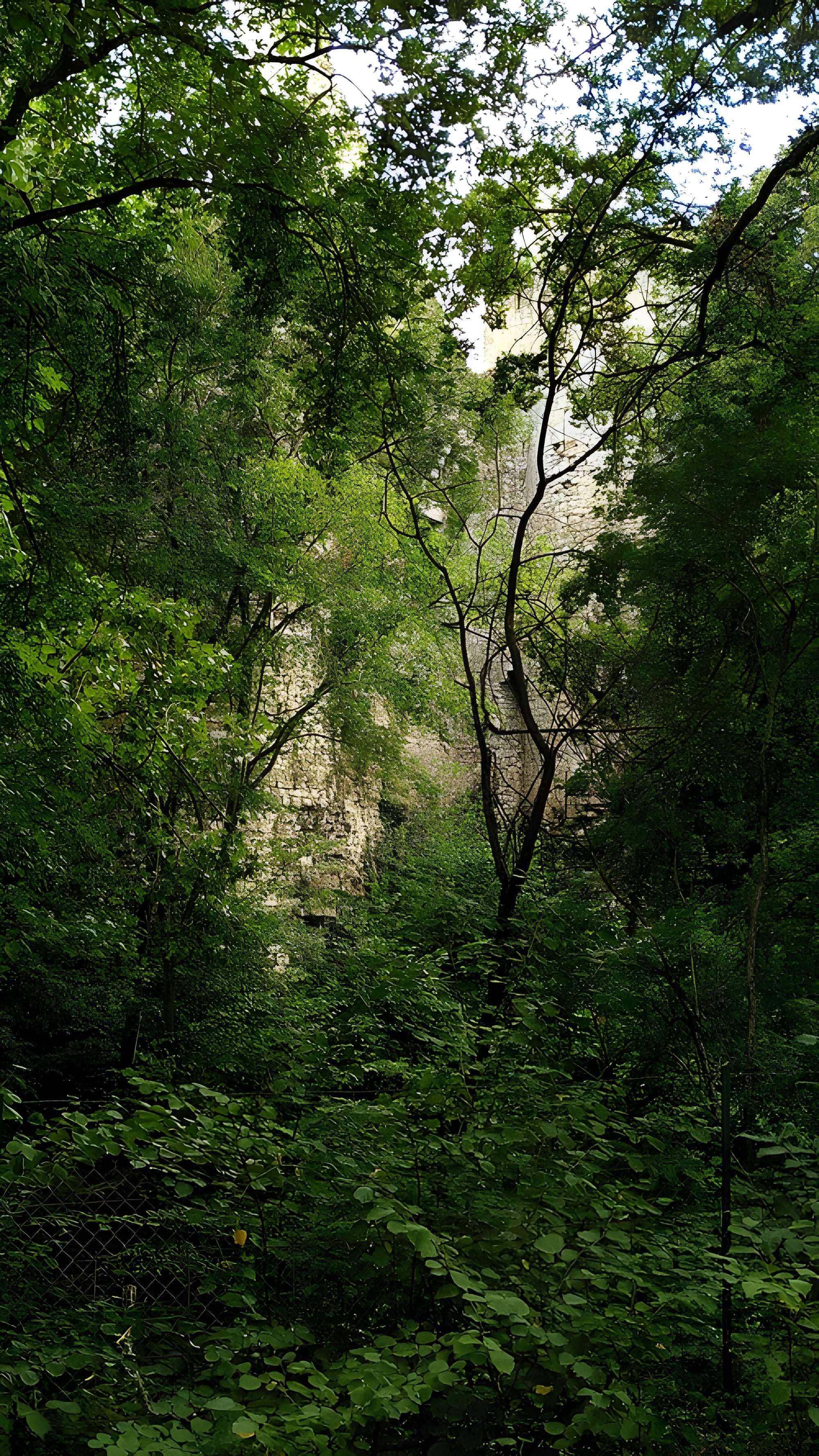 Château de Bois Sir Âme