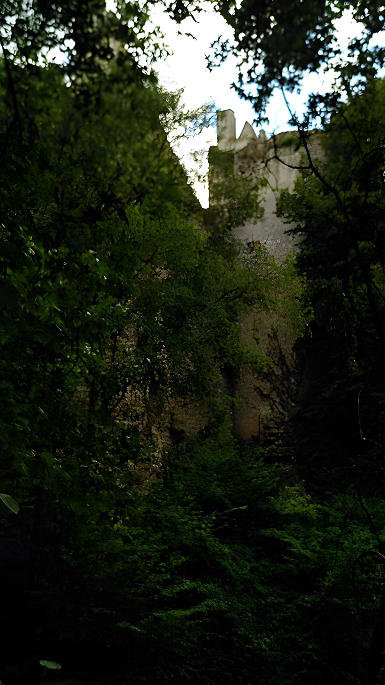 Château de Bois Sir Âme