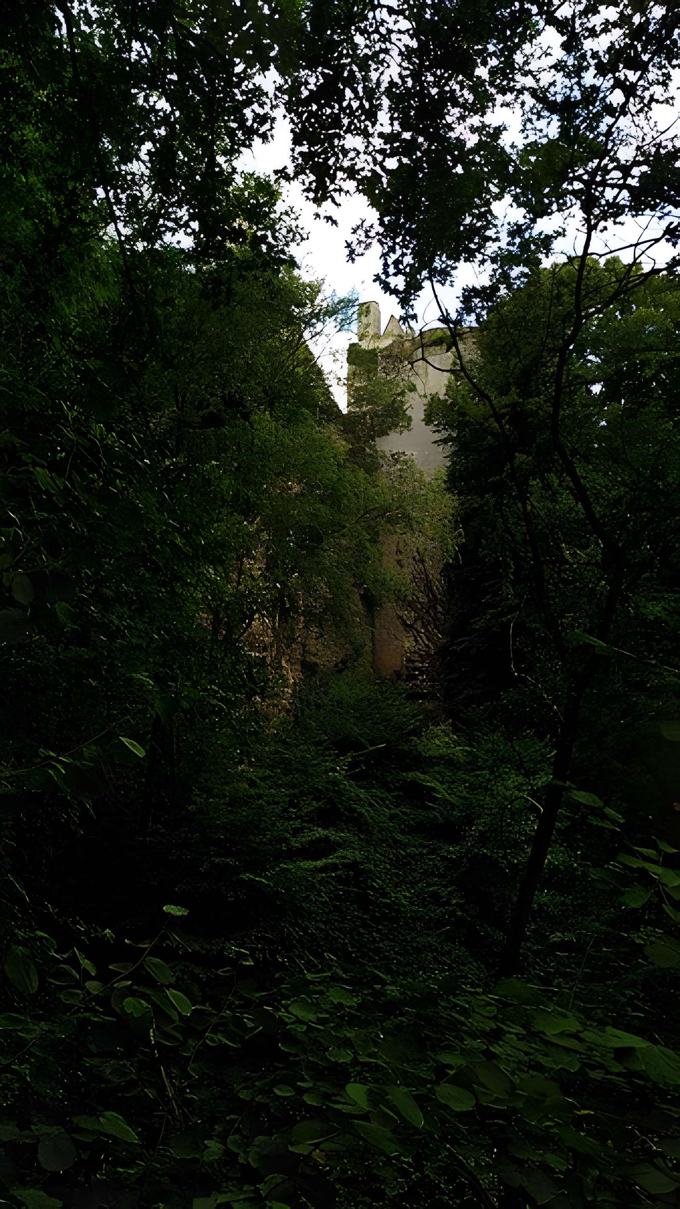 Château de Bois Sir Âme