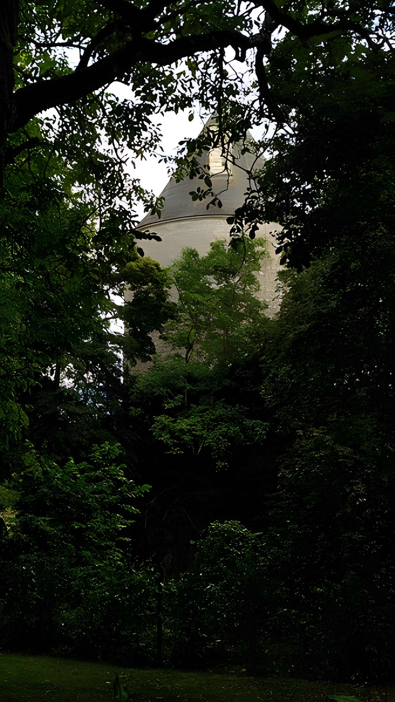 Château de Bois Sir Âme