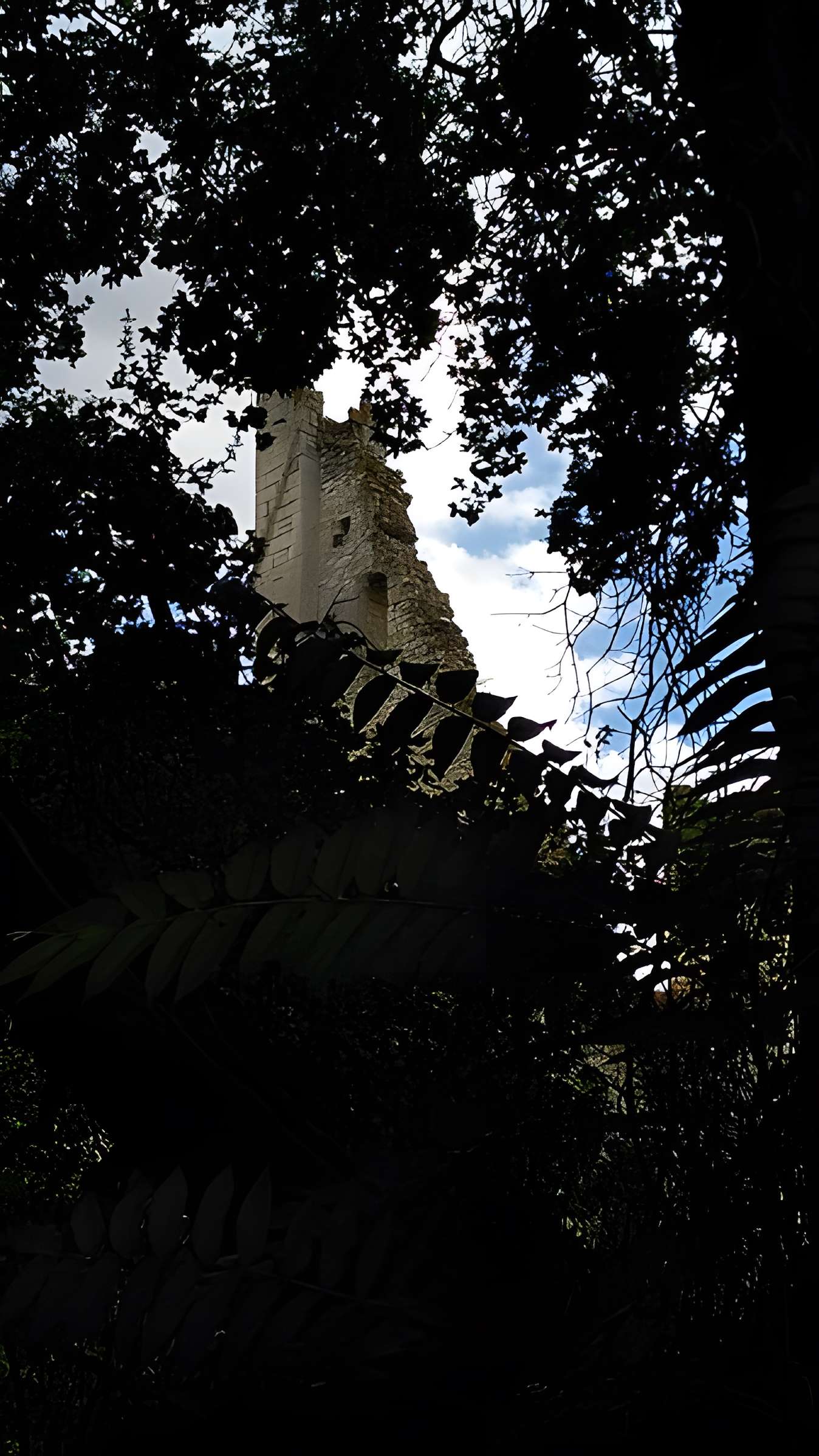 Château de Bois Sir Âme