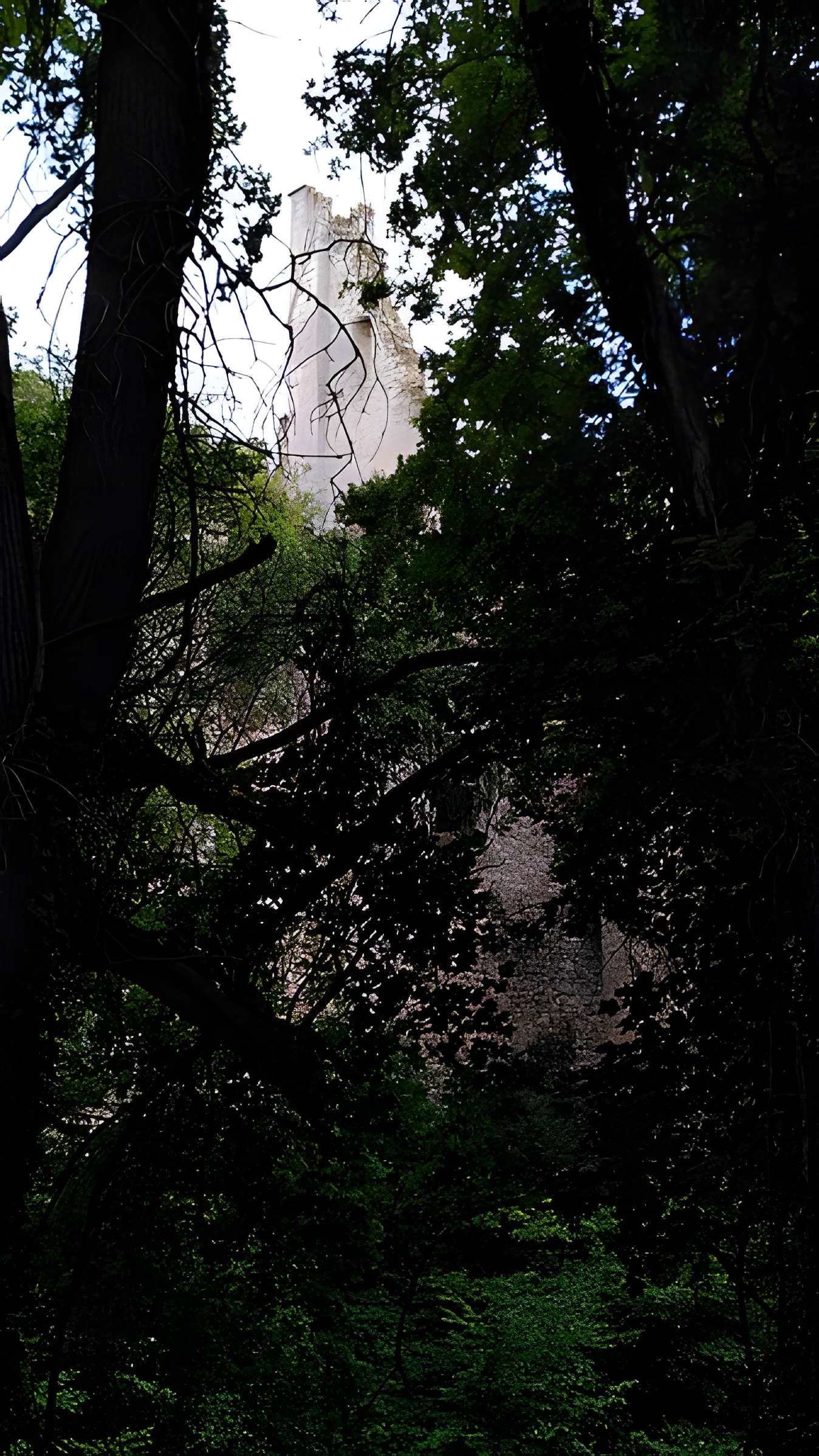 Château de Bois Sir Âme