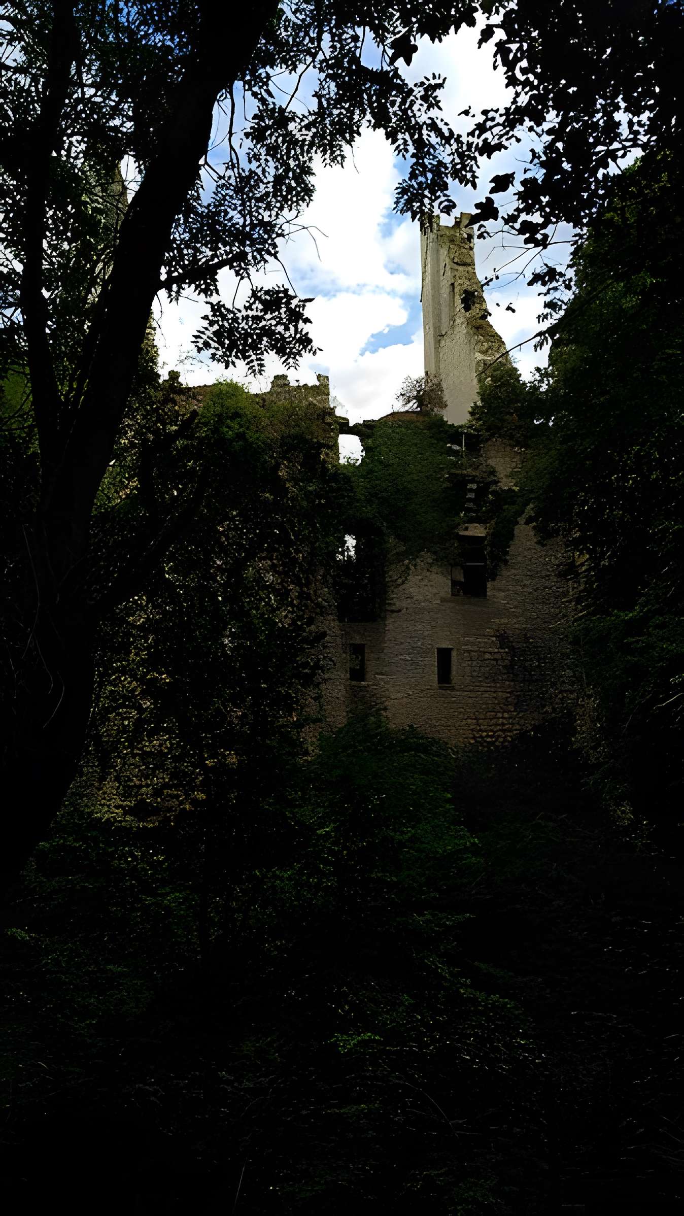 Château de Bois Sir Âme
