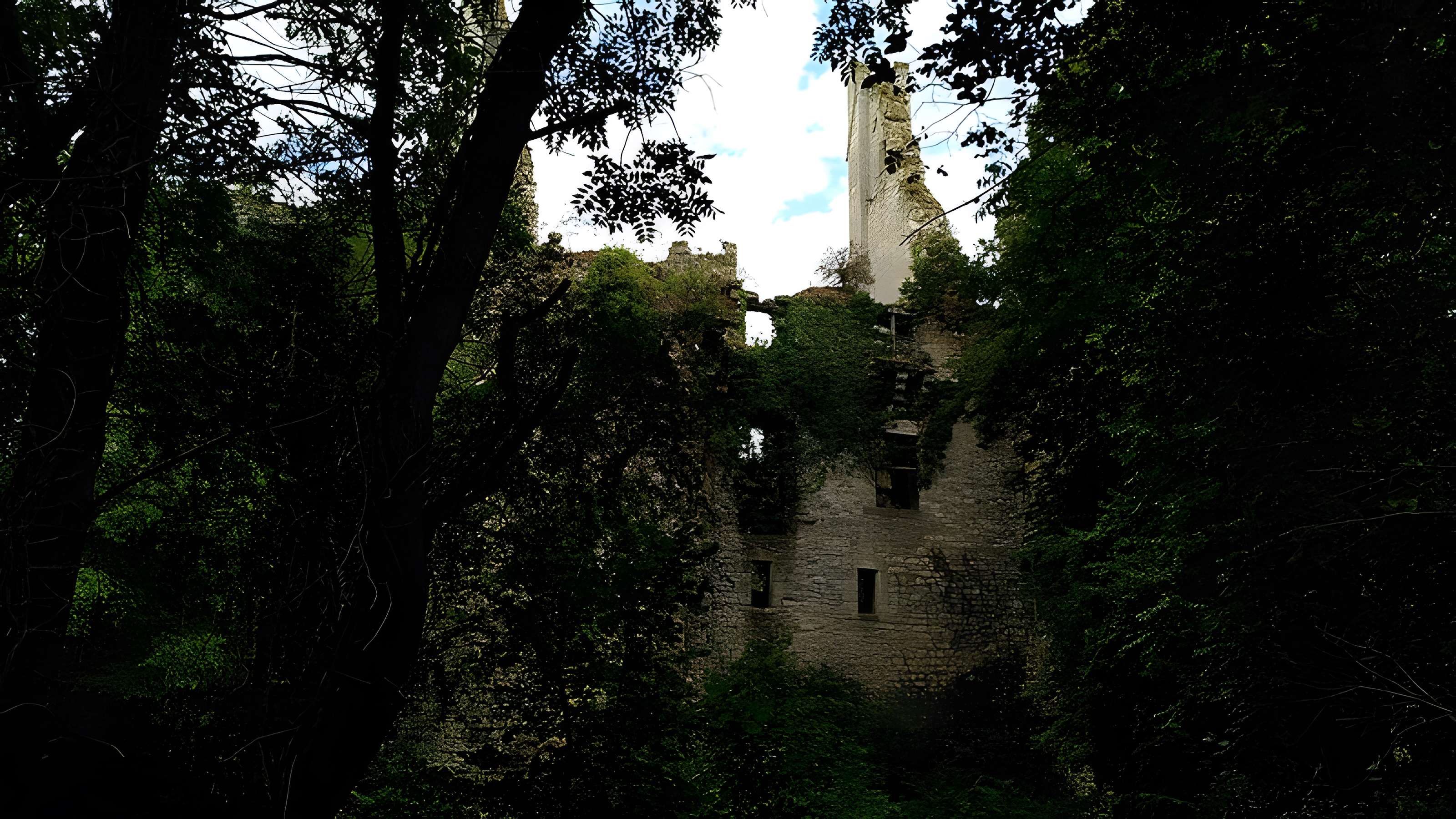 Château de Bois Sir Âme