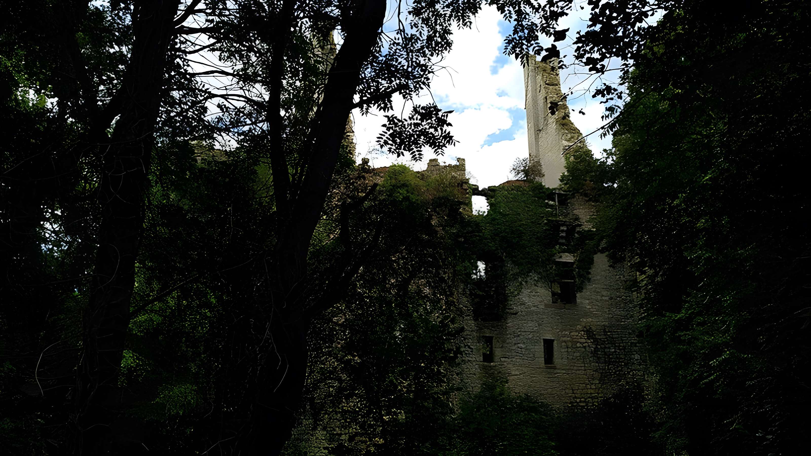 Château de Bois Sir Âme