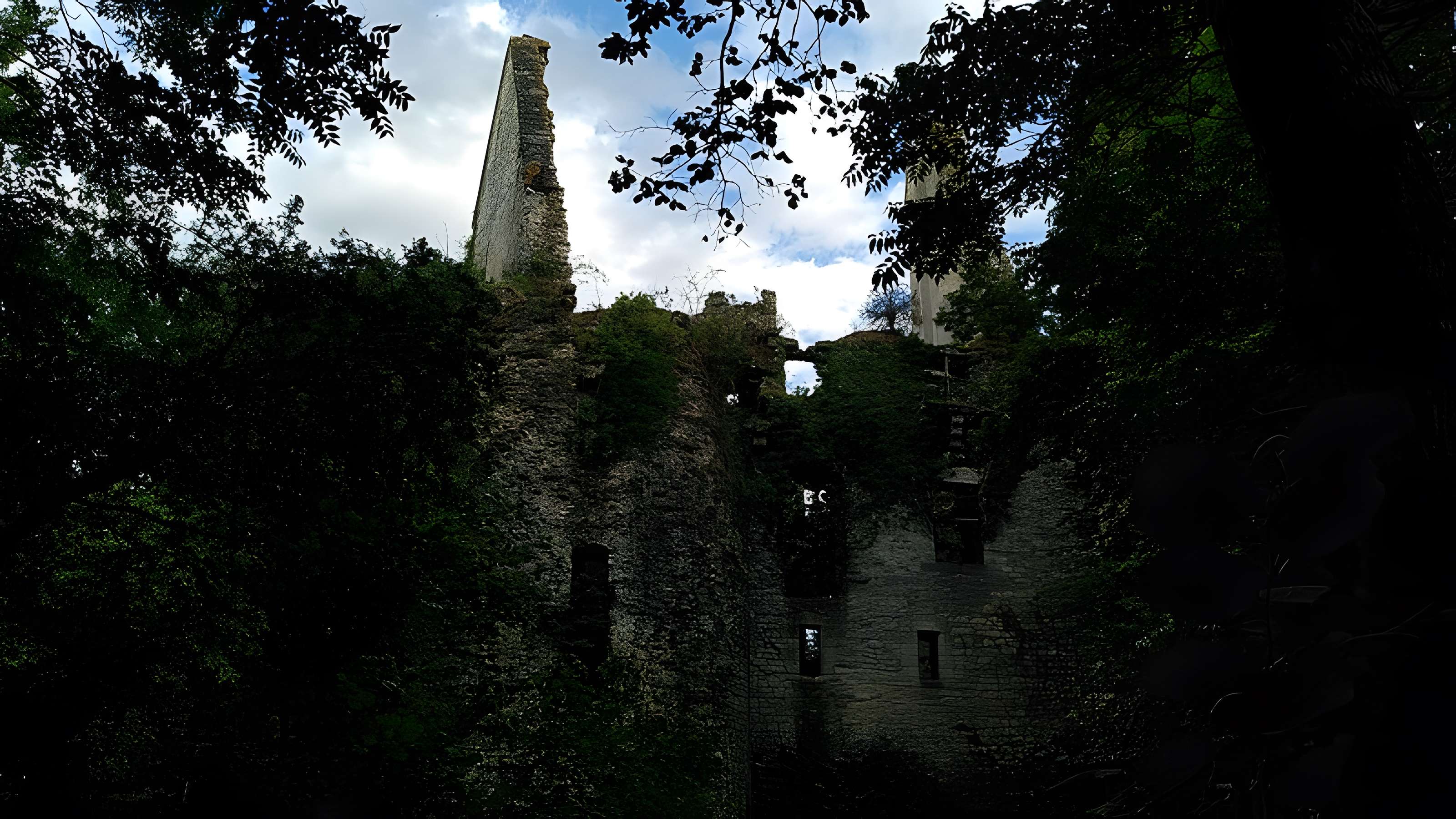 Château de Bois Sir Âme