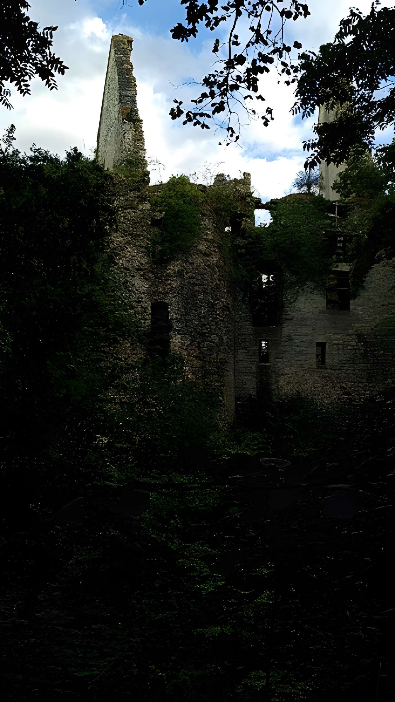 Château de Bois Sir Âme