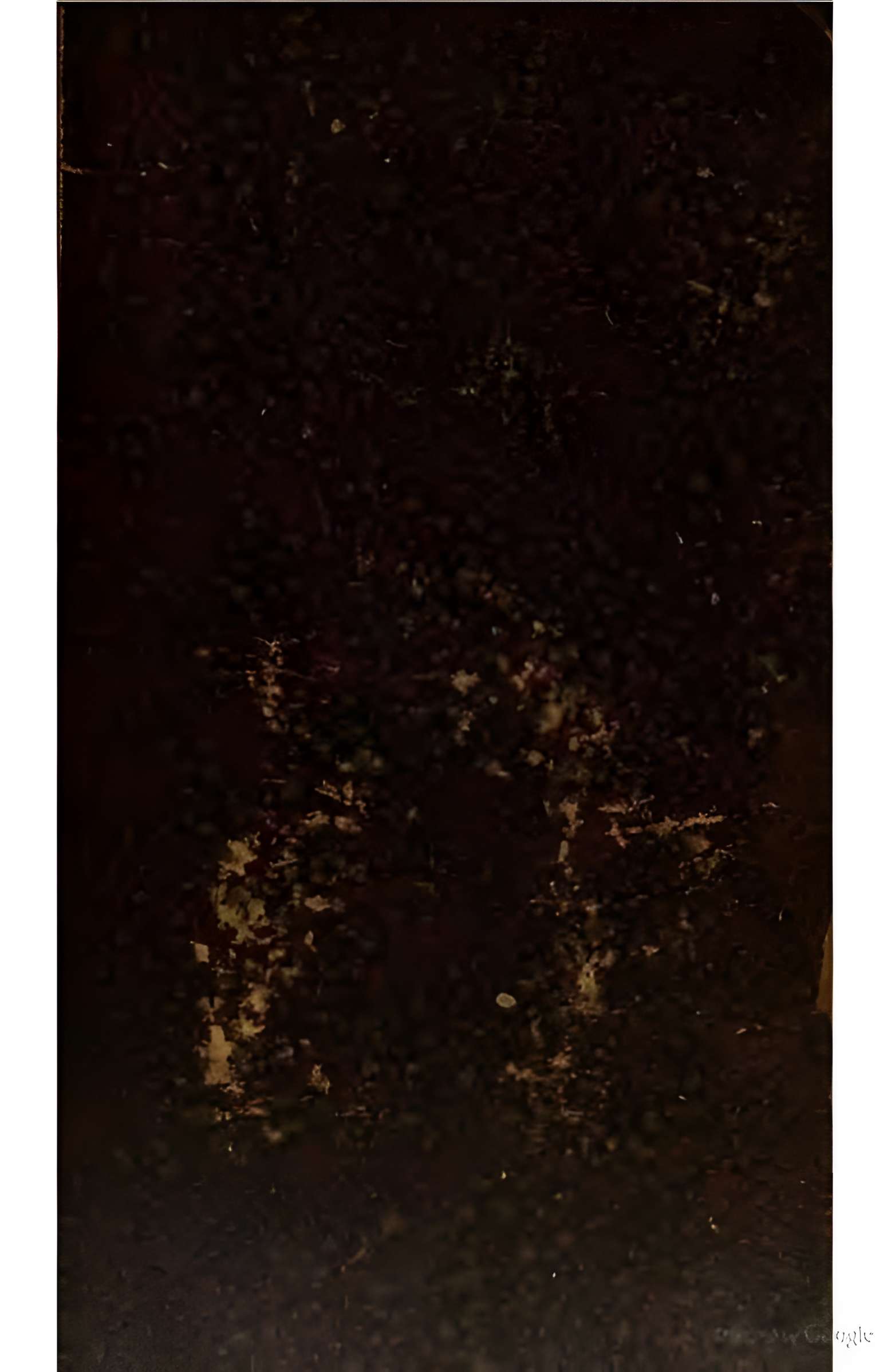 Ancienne abbaye d'Anchain