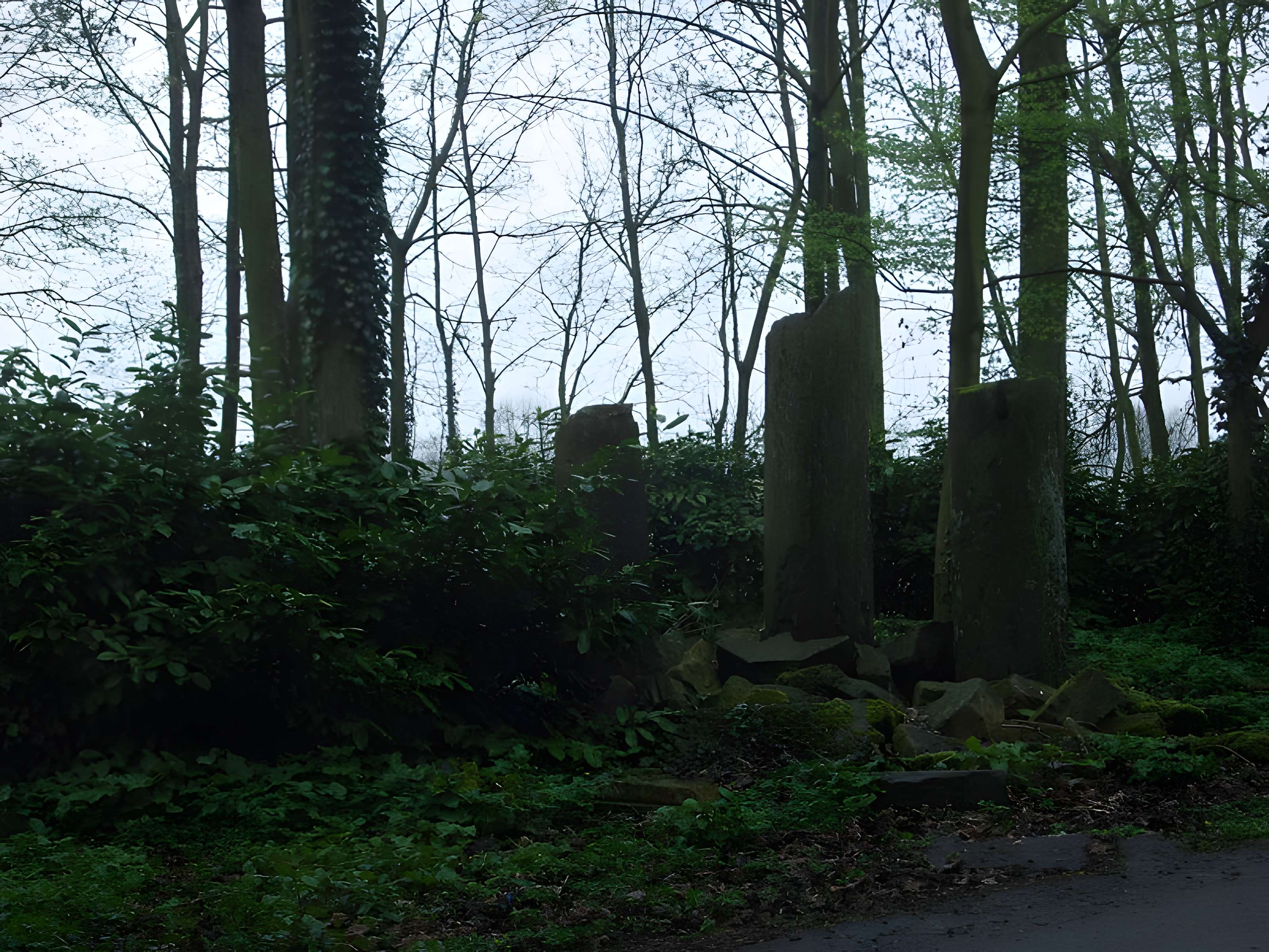 Ancienne abbaye d'Anchain