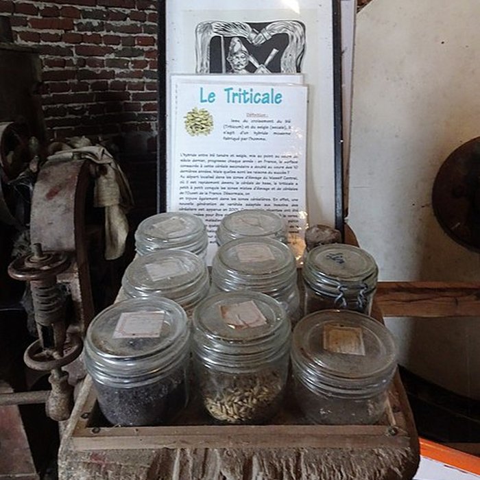 Photo de Moulin à vent dit Steen-Meulen