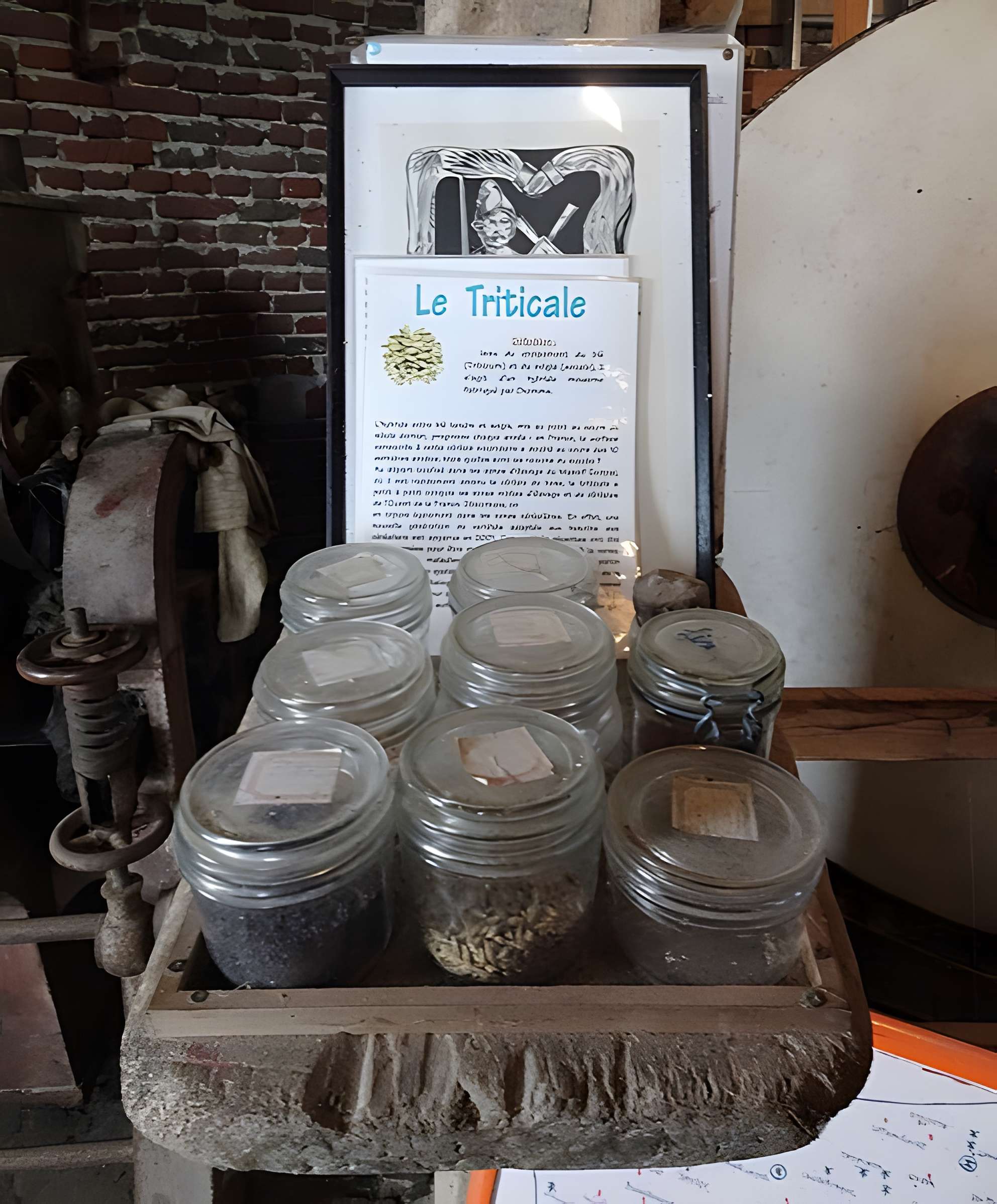 Moulin à vent dit Steen-Meulen