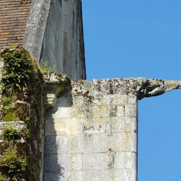 Photo de Église Saint-Pierre-et-Saint-Paul de Baron