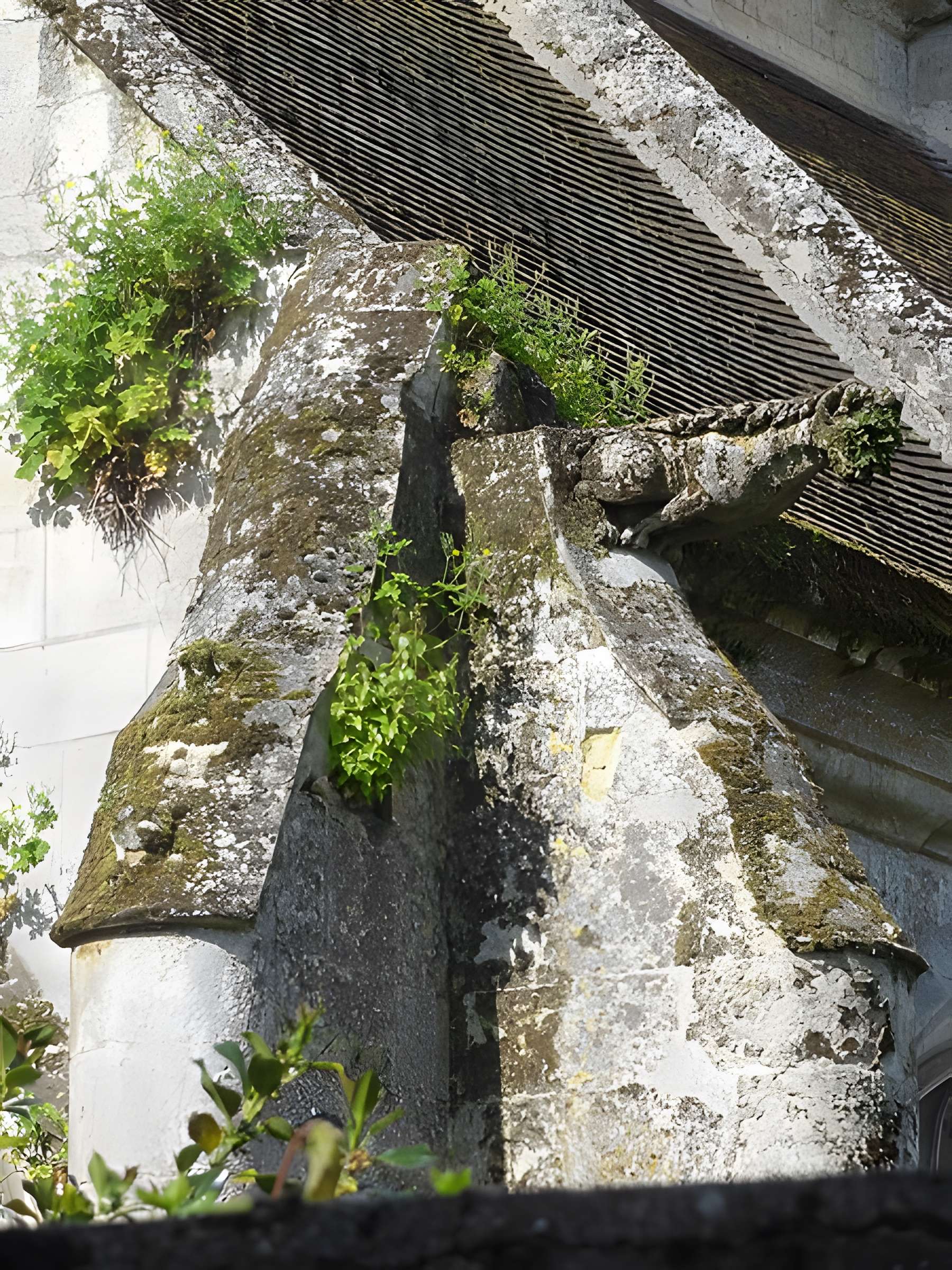 Église Saint-Pierre-et-Saint-Paul de Baron