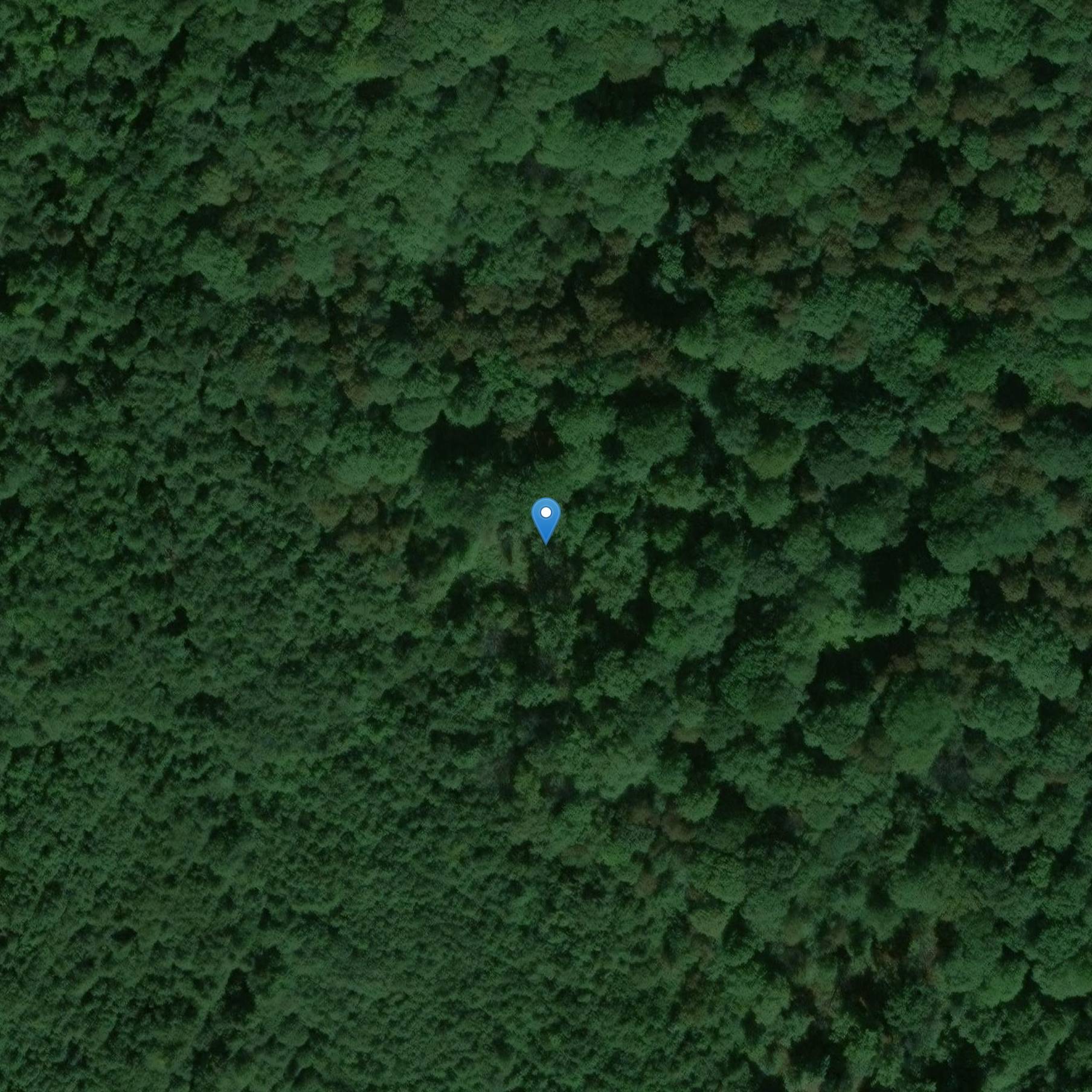 Photo de 57 pantserterminals in het bos van Halatte