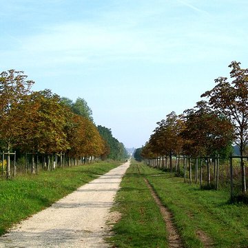 Parc du domaine de Chantilly également sur communes de Chantilly et Vineuil-Saint-Firmin