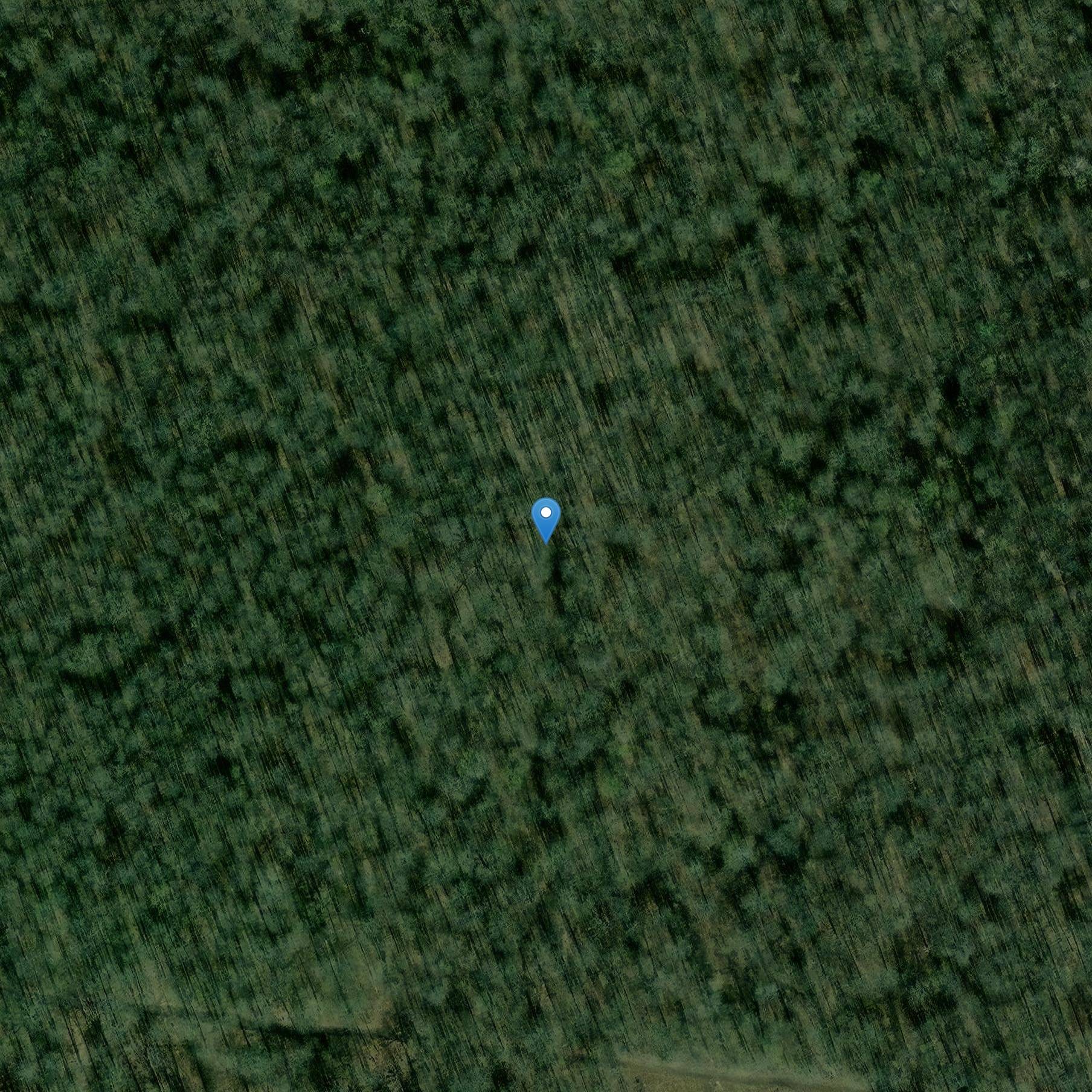 Photo de キャンプシーザーのオピダム(バーレッドスプル)