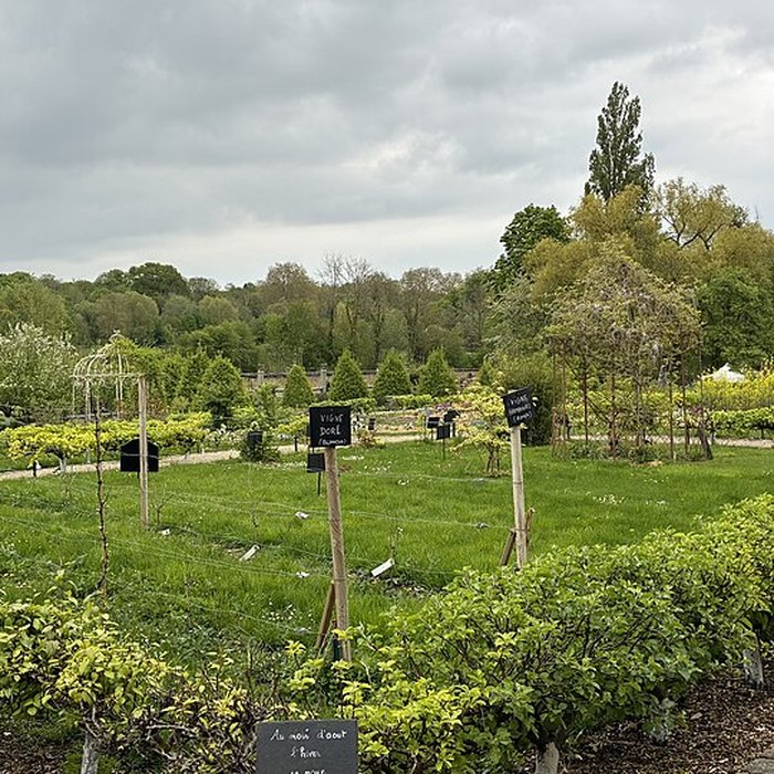 Photo de La Faisanderie